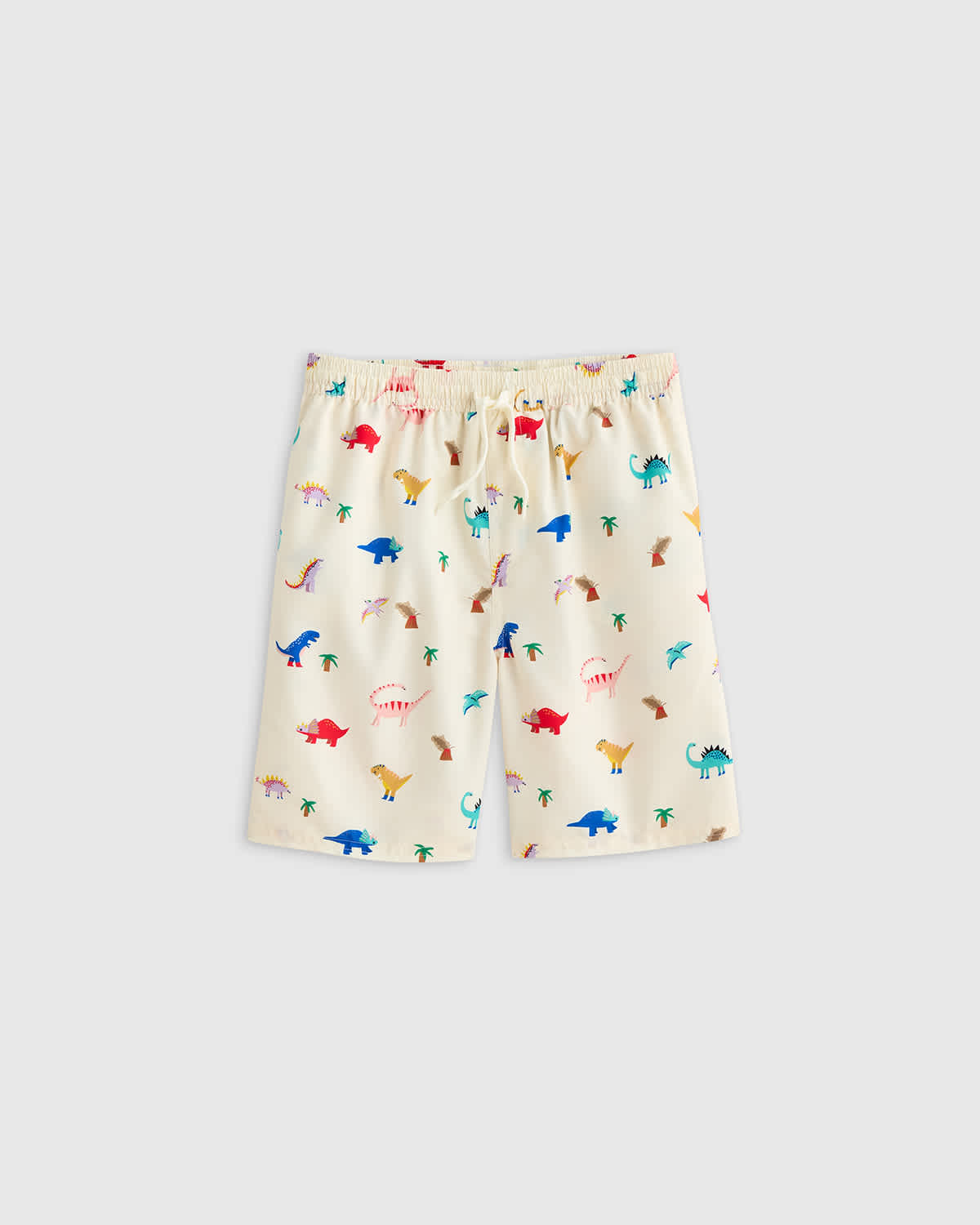 dinosaurs Swim Trunk