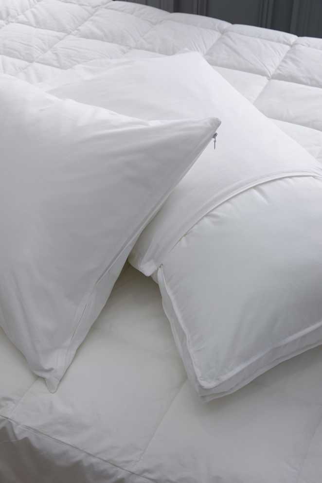 PillowProtector 448