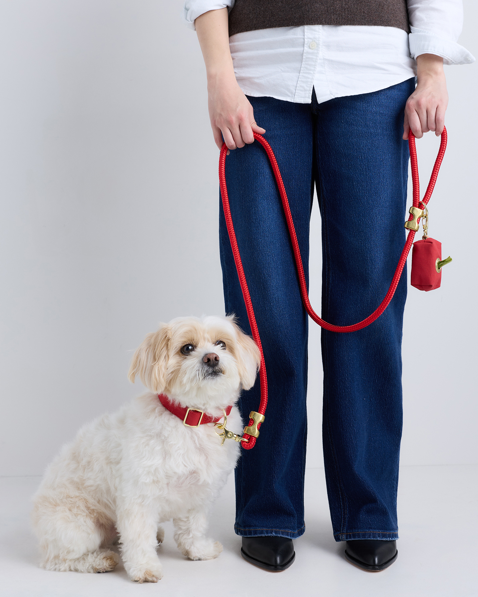 Ruby Double-Braided Nylon Rope Dog Leash