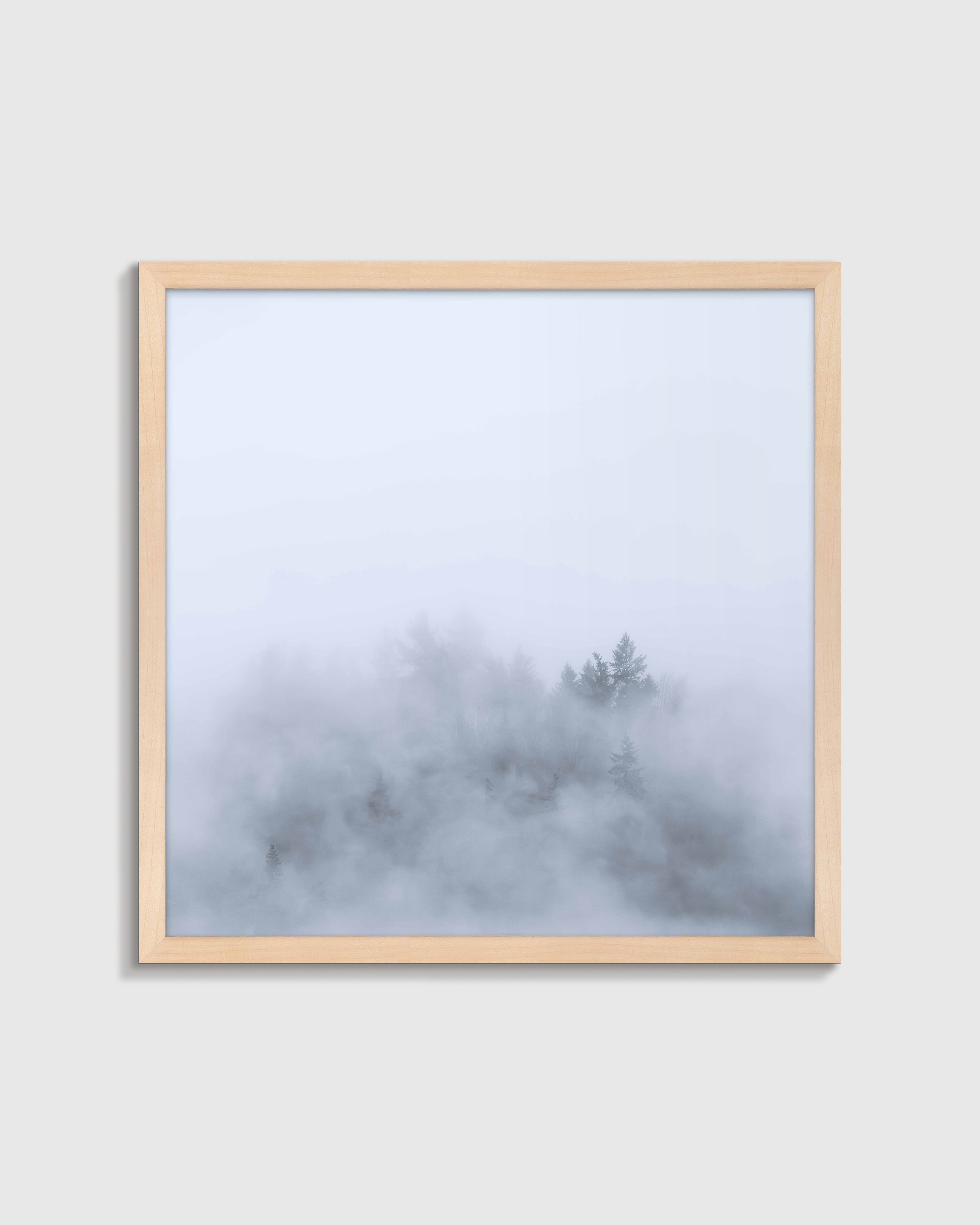 Maple Above the Mist by Laura Zimmerman