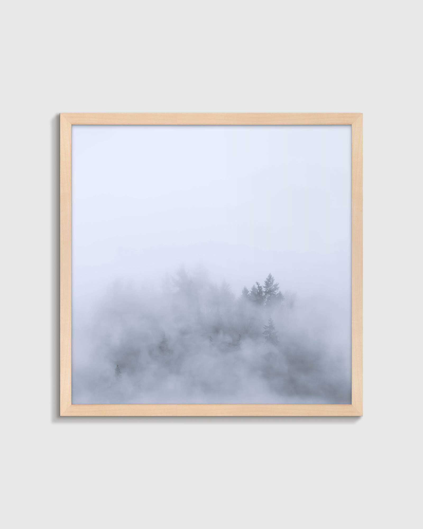 Above the Mist maple hero