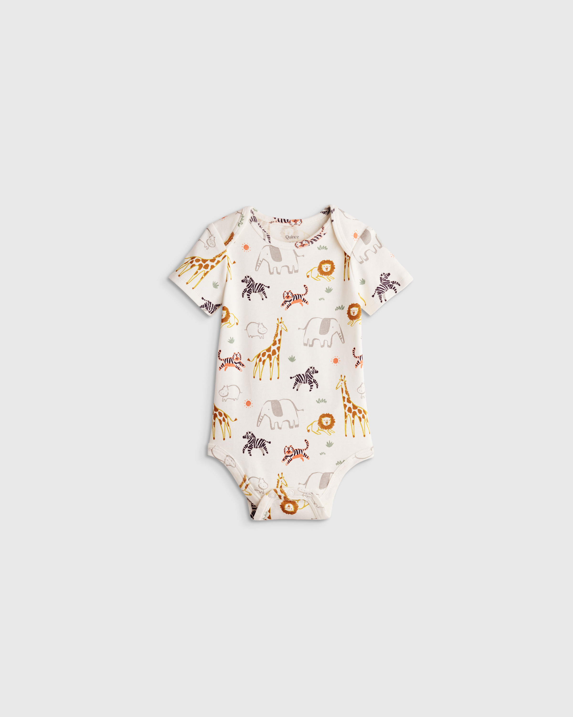 Quince Short Sleeve Bodysuit In Brown