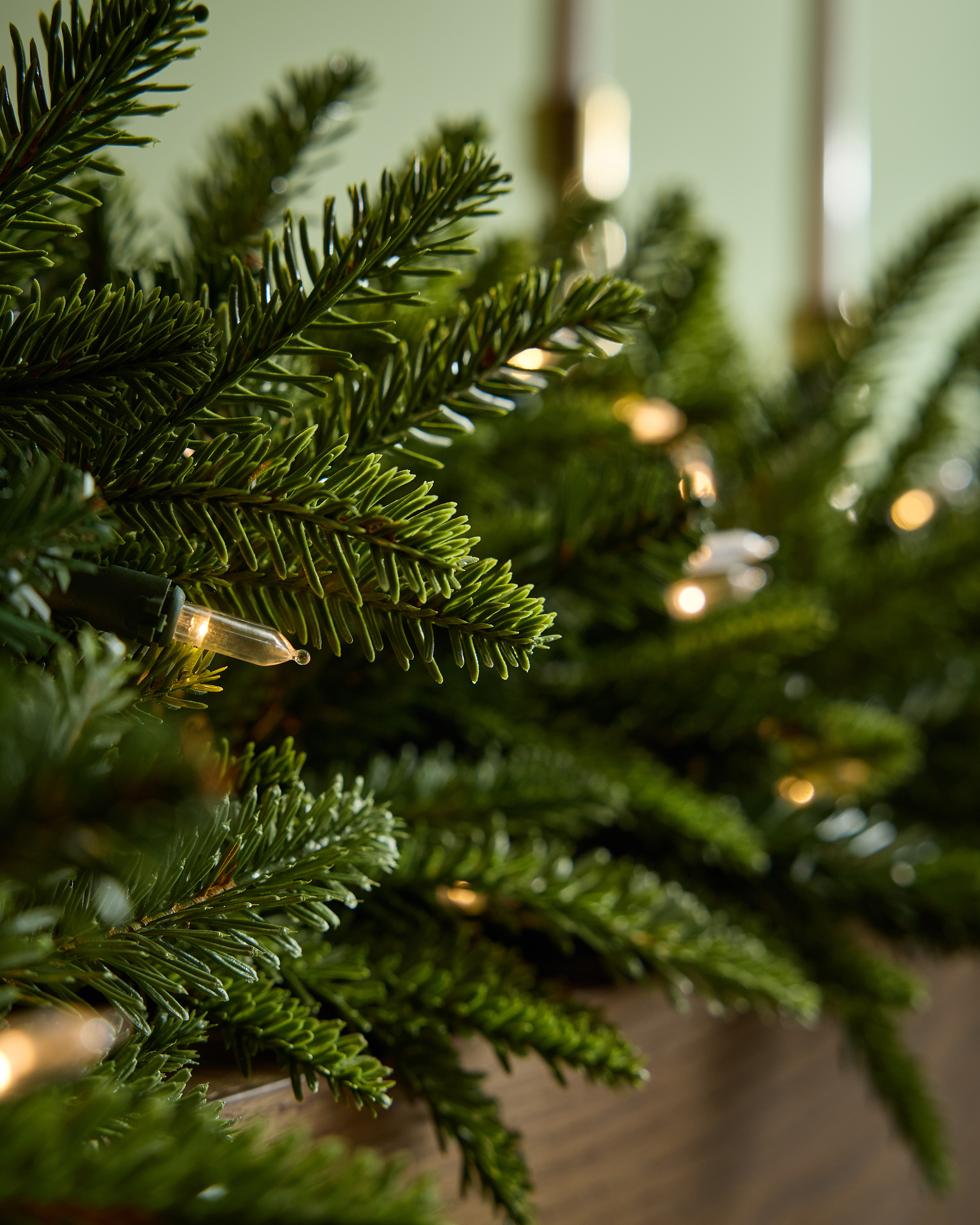 Quince Fraser Fir Garland - Thumbnail 3