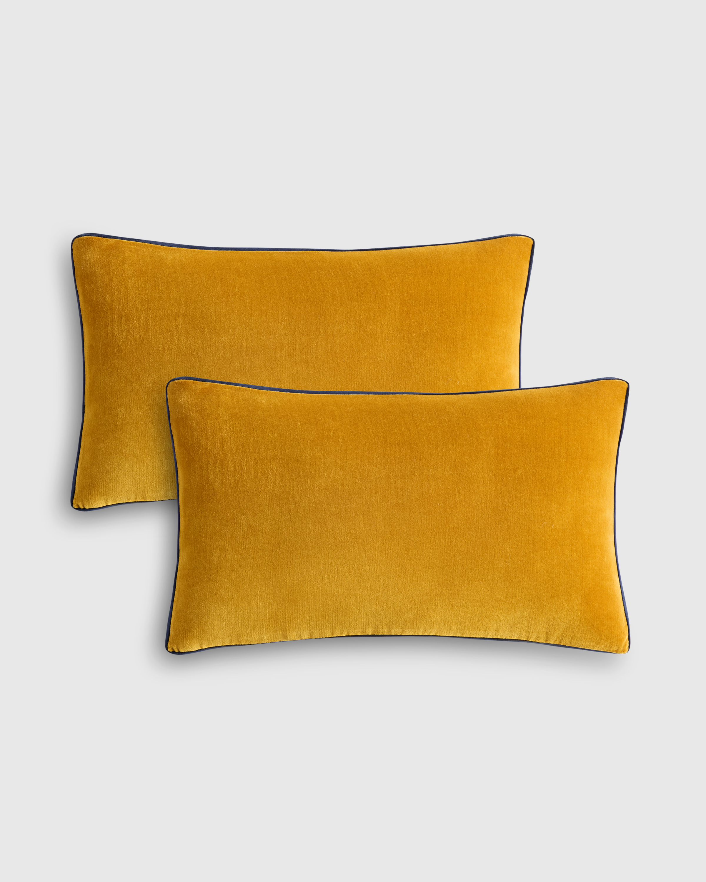 Marigold/Navy Housses de coussin en velours à bordure contrastée (ensemble de 2)