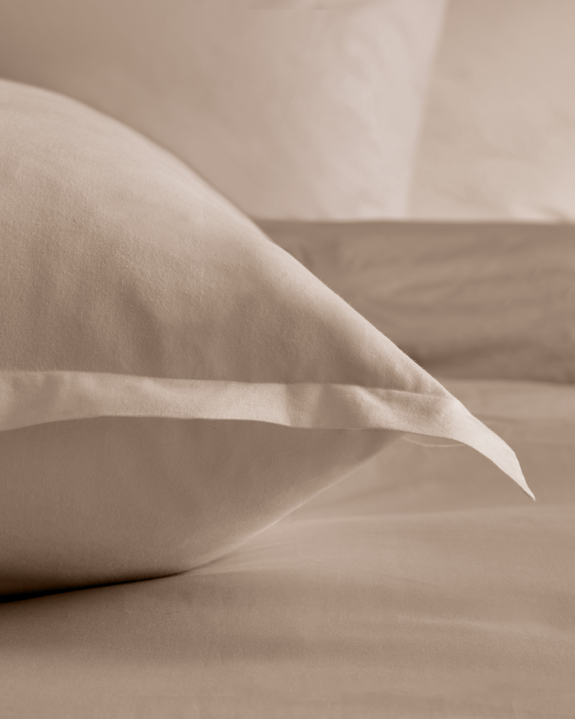 Organic Brushed Cotton Euro Sham - Thumbnail 5