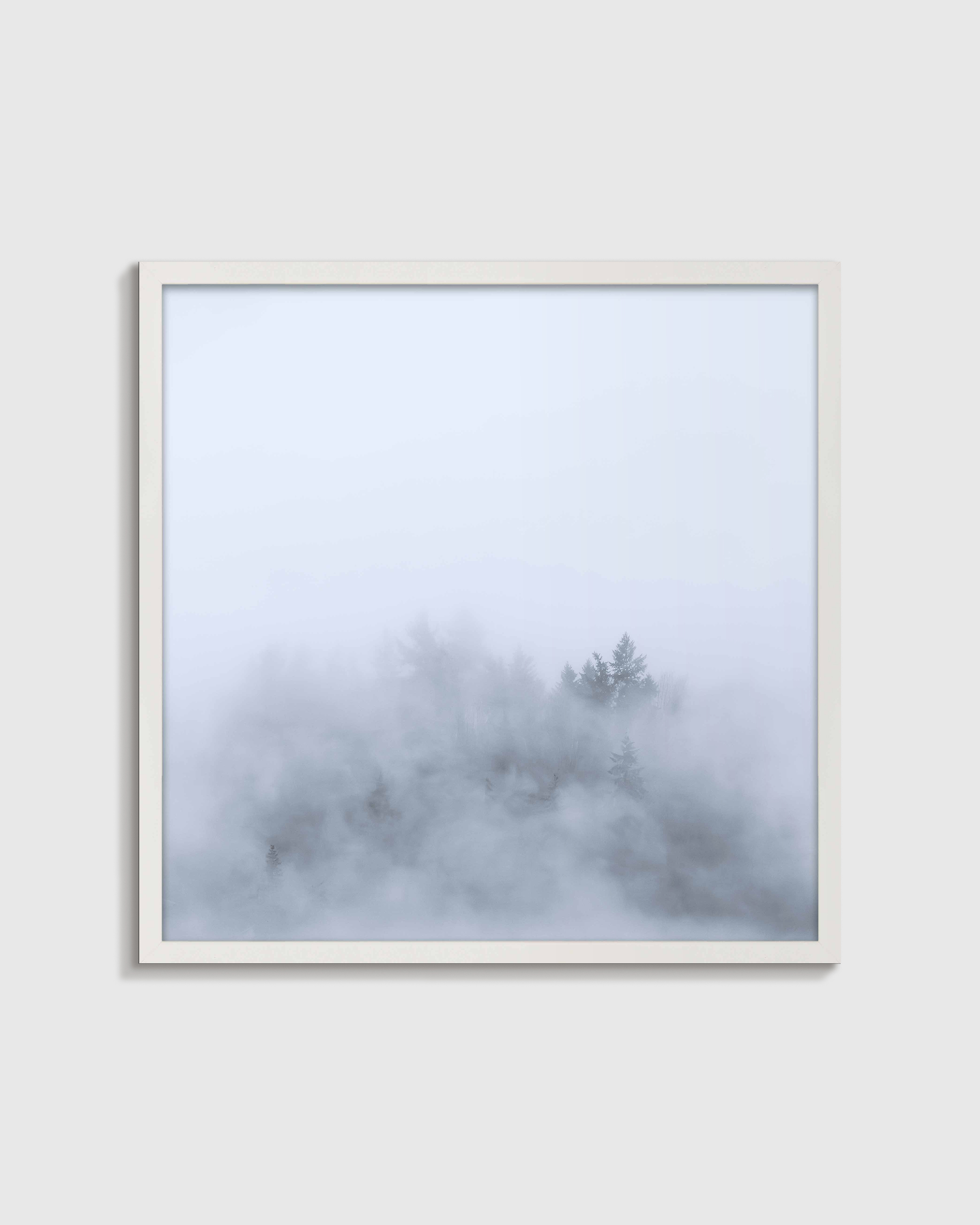 White Above the Mist by Laura Zimmerman