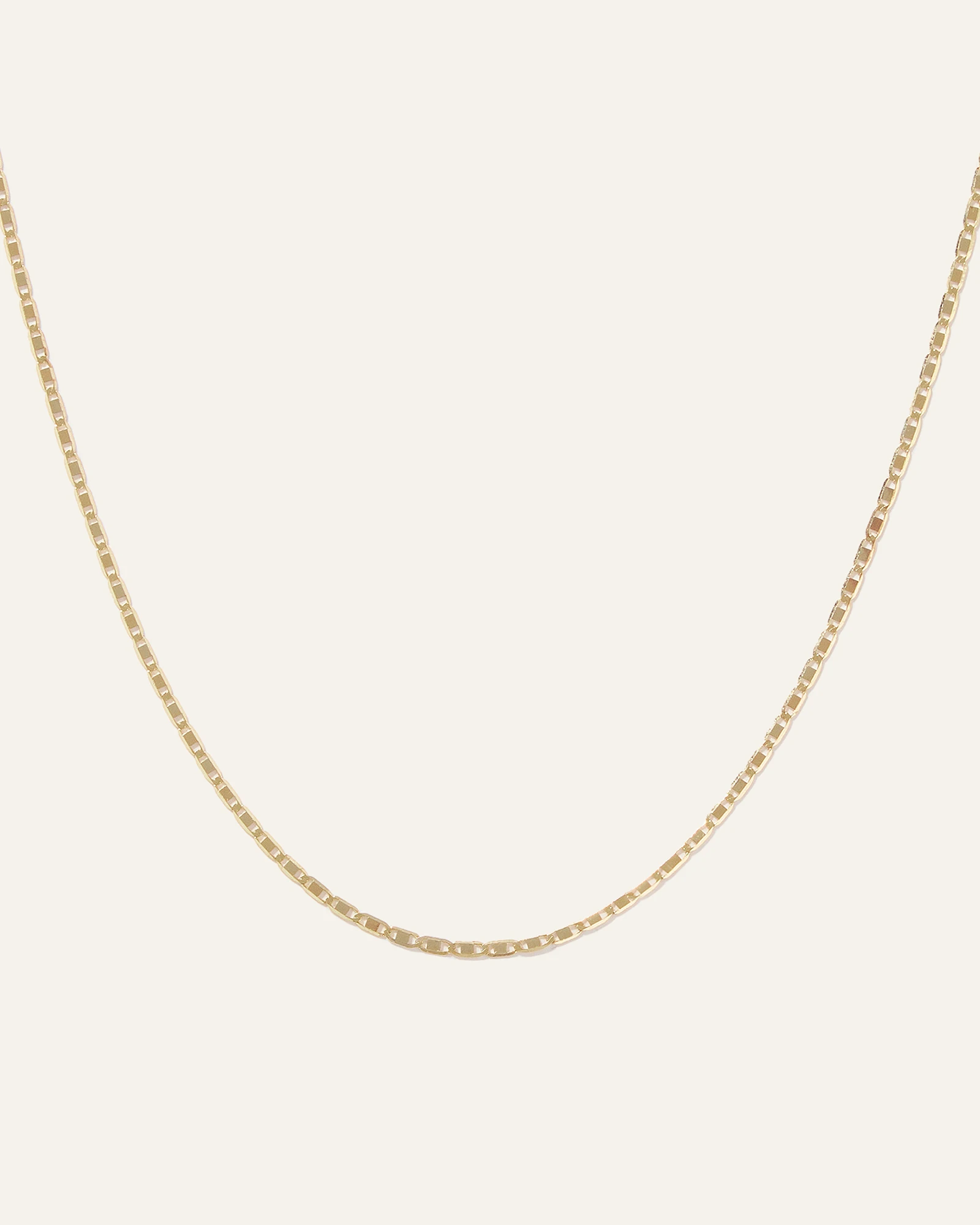 14K Gold Petite Valentino Chain Necklace