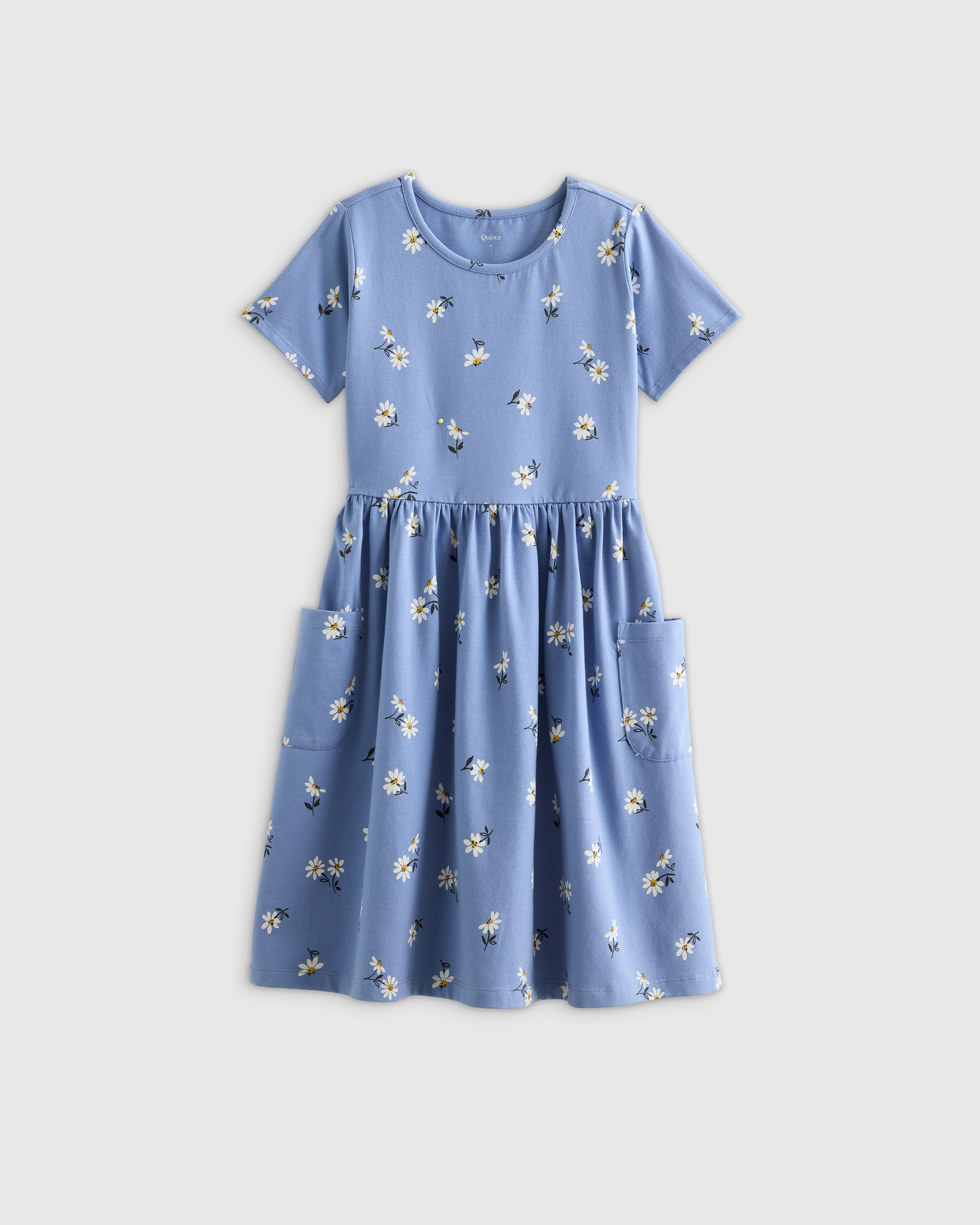 Blue Daisy Organic Cotton Fit and Flare Pocket Dress