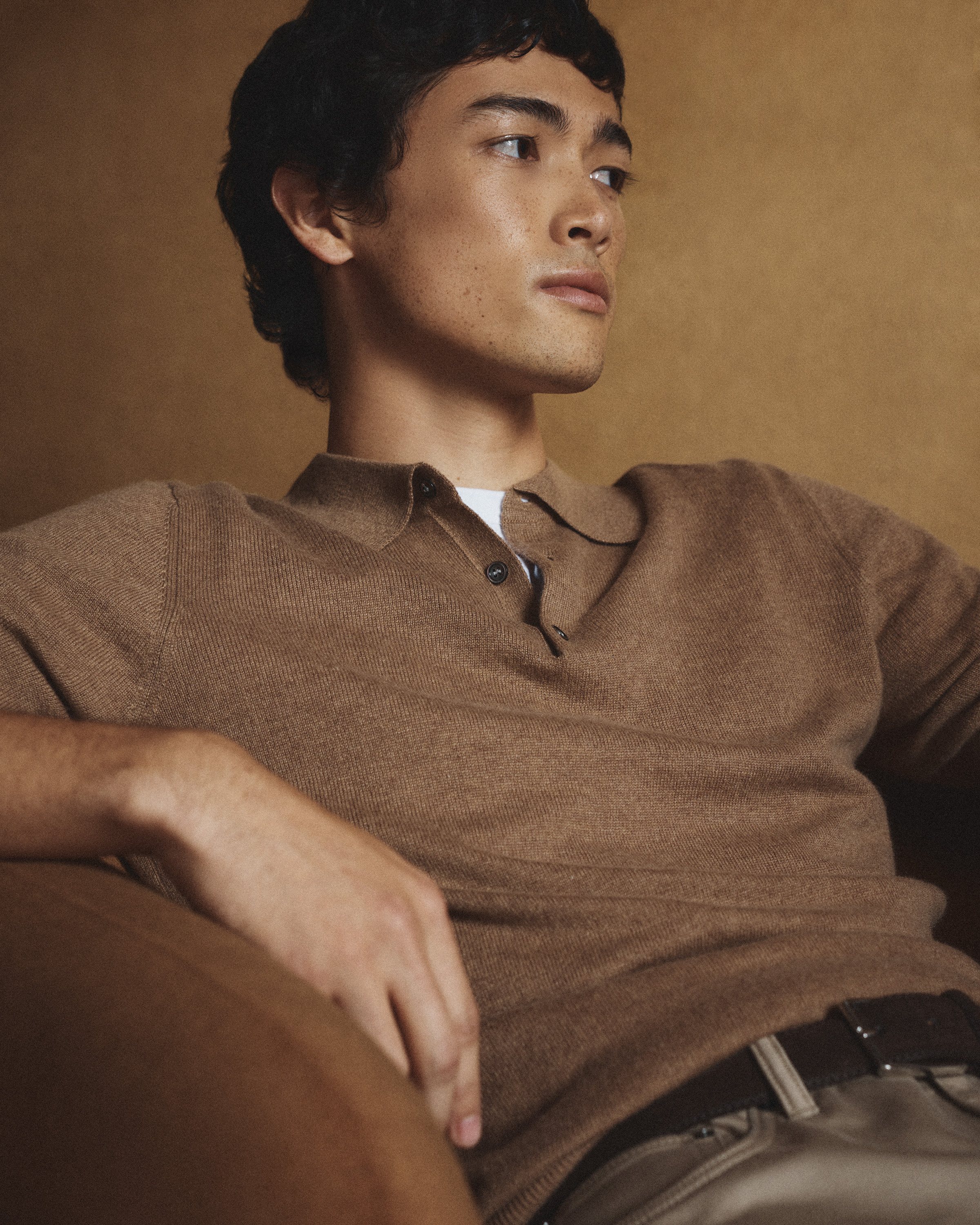 Mongolian Cashmere Polo Sweater in Teak