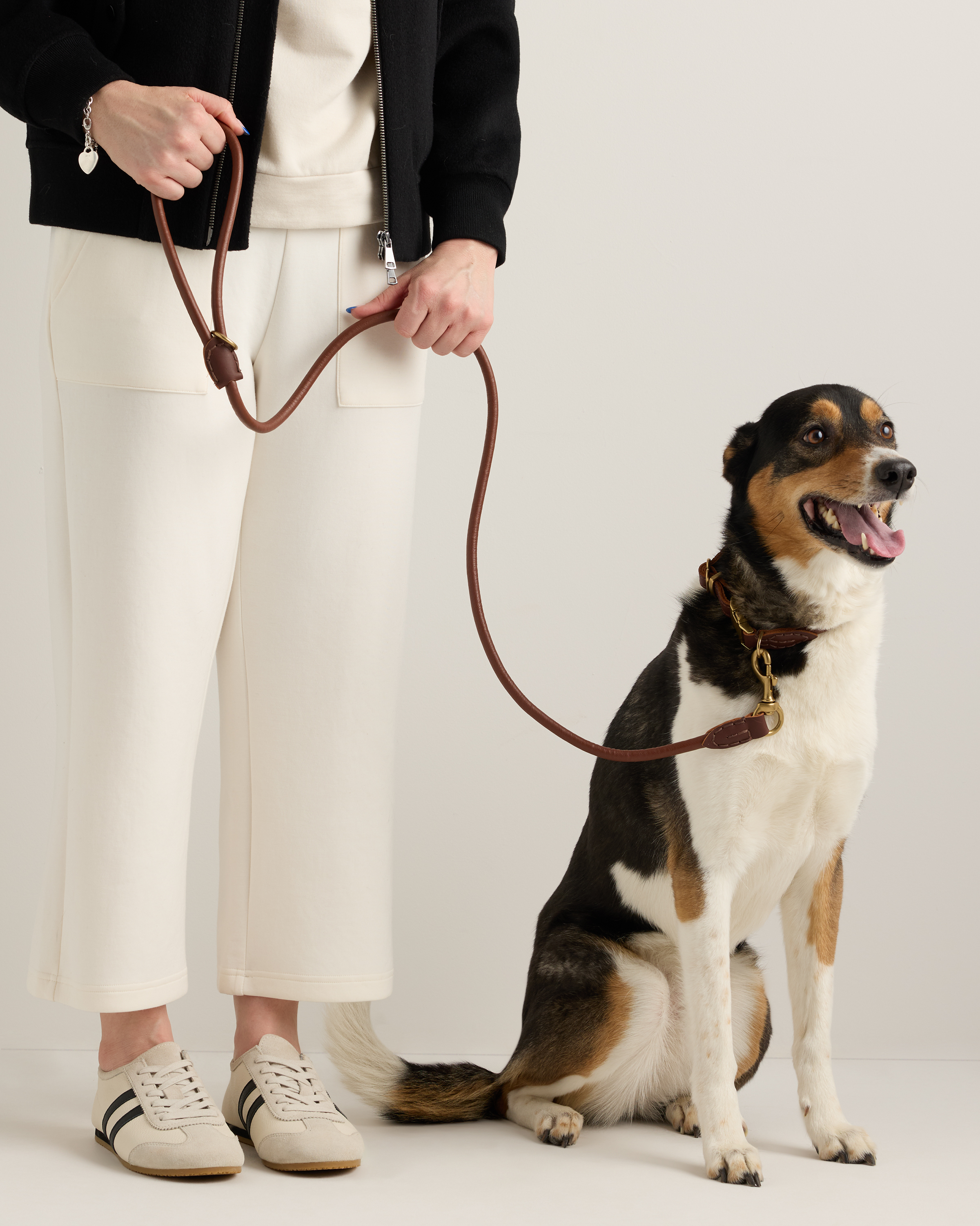 Italian Leather Dog Collar Walk Kit in Brown, Size Small by Quince