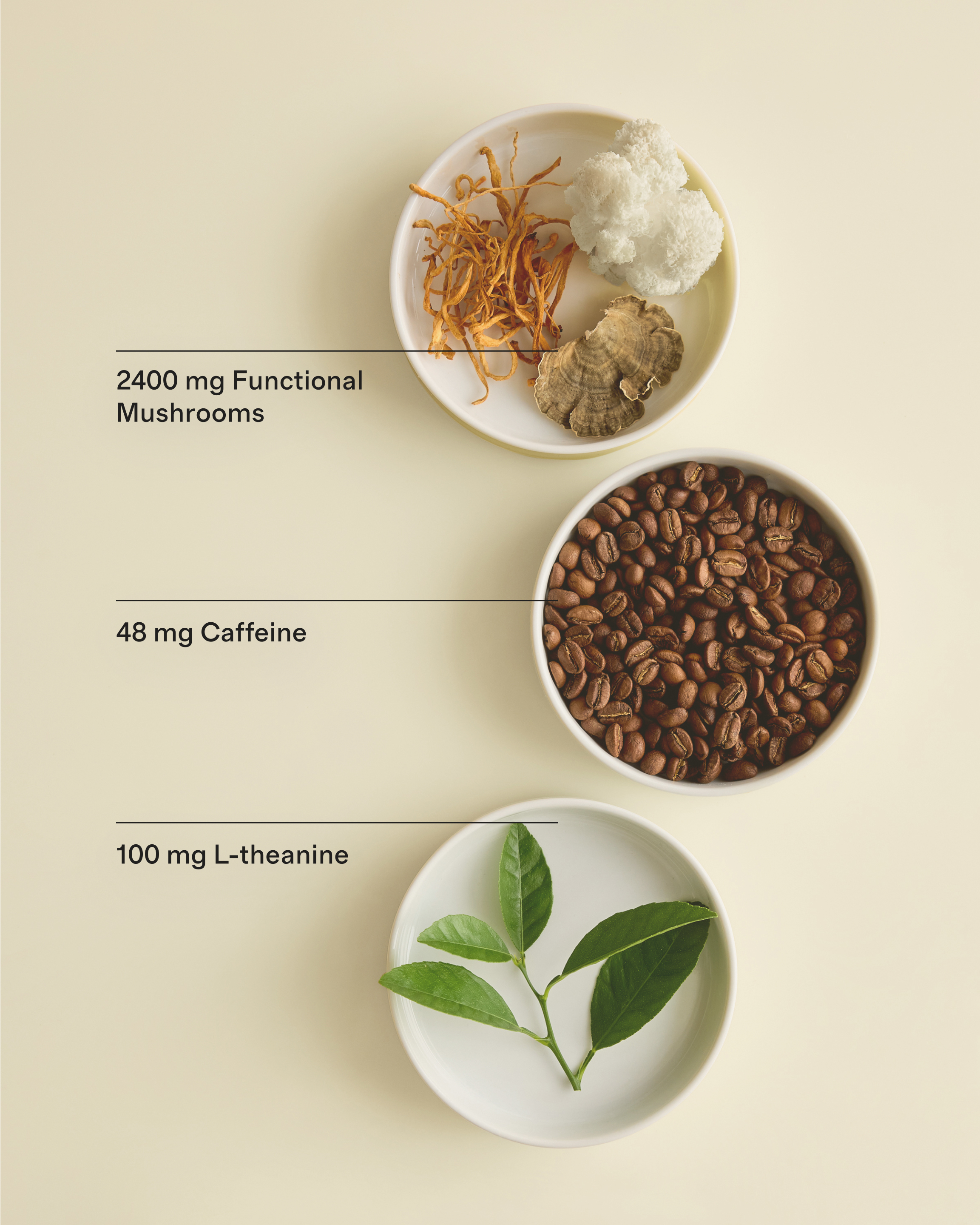 Certified Organic Mushroom Coffee Focus Blend - thumbnail 4