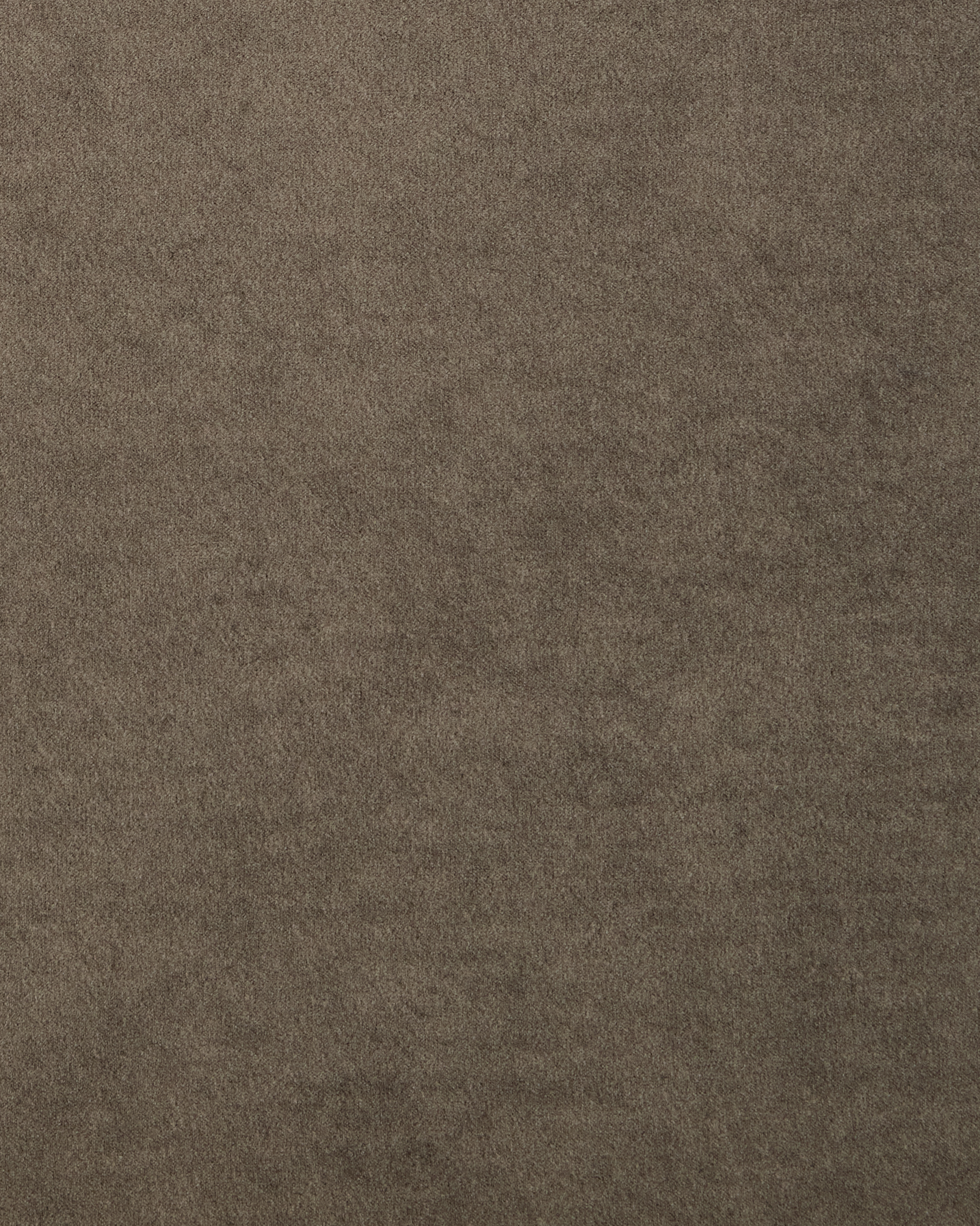 Texture - Performance Velvet - Sable