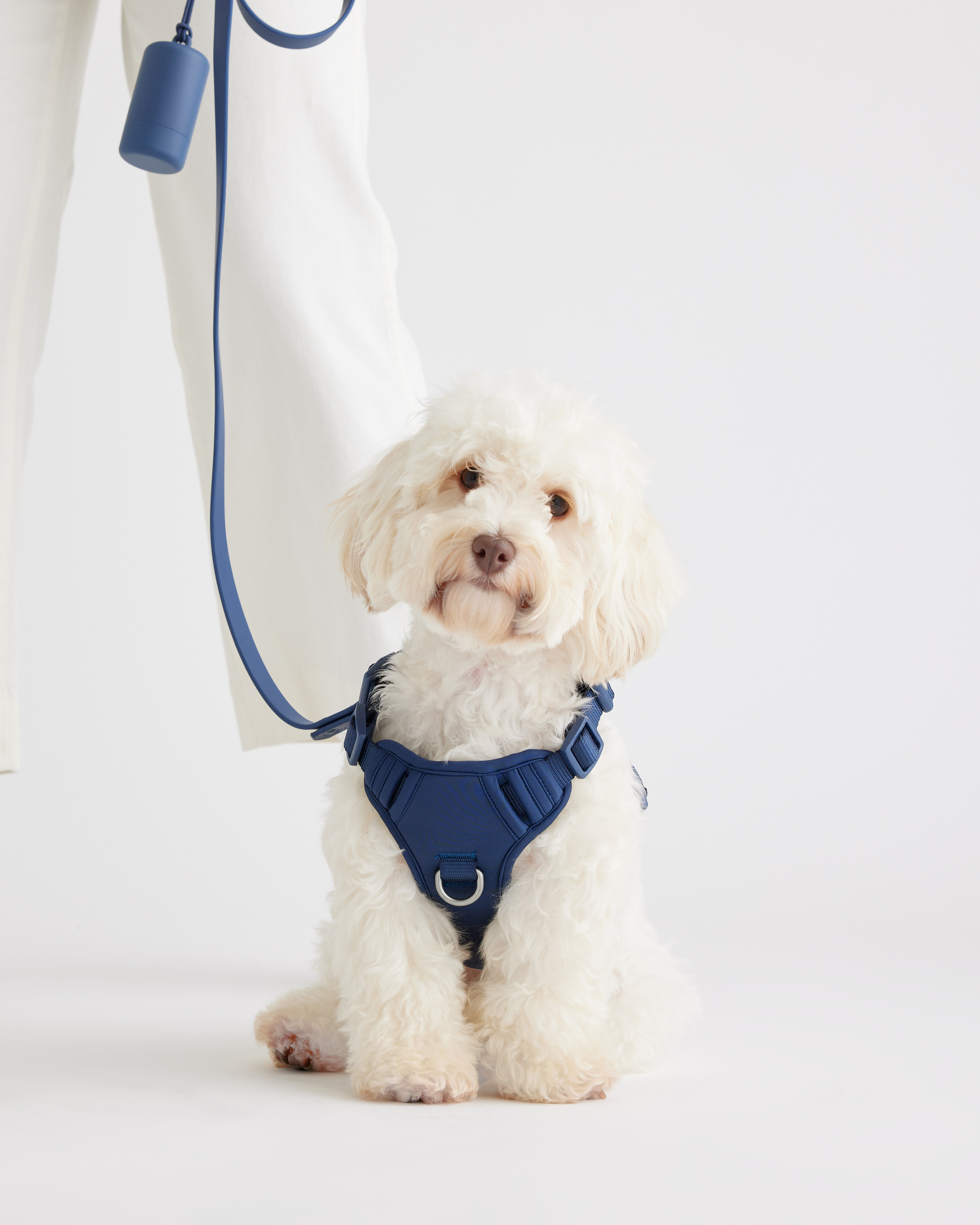Navy Dog Harness Walk Kit
