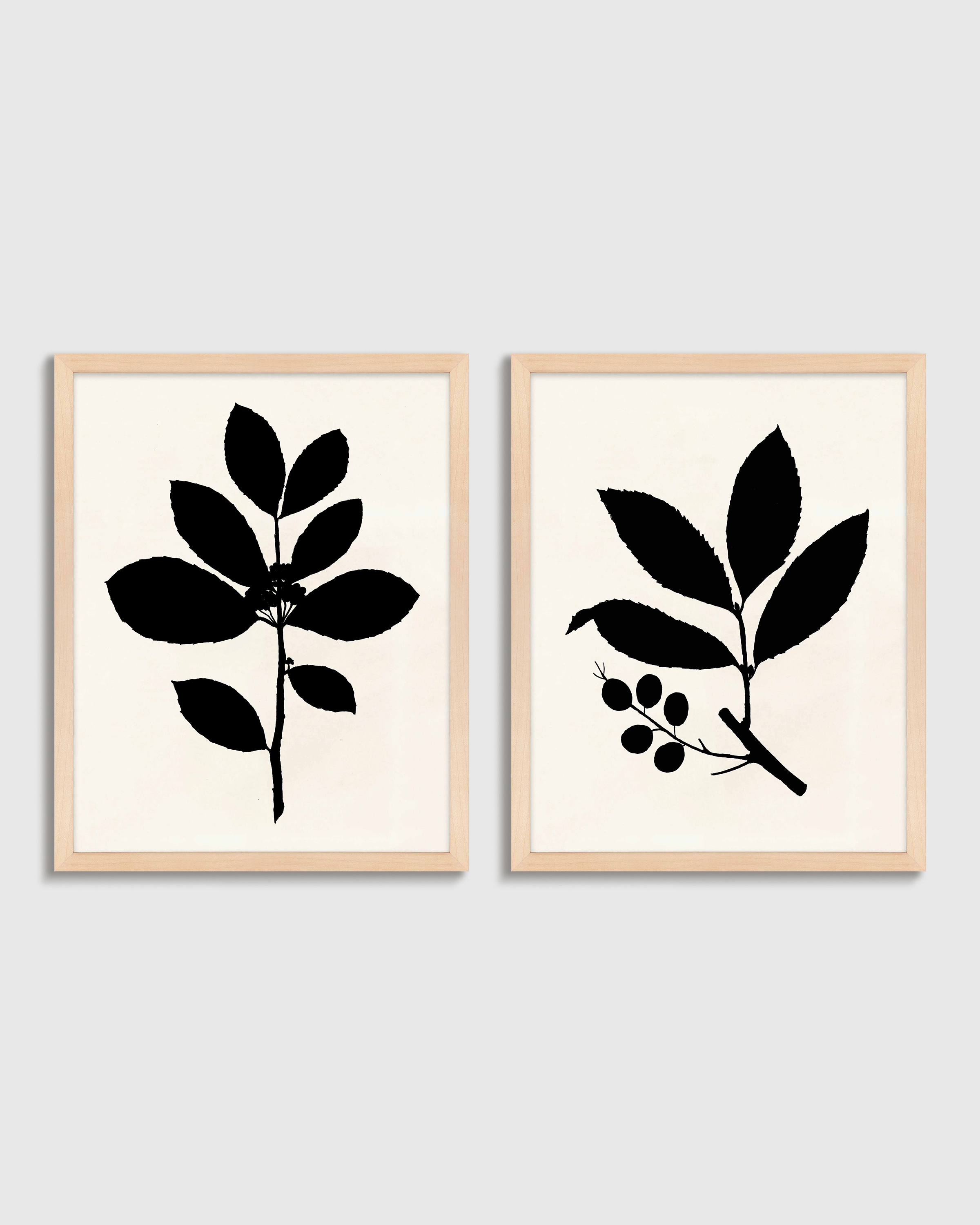 Maple Tea Tree, Cherry Laurel by Philippa Katz (Set of 2)