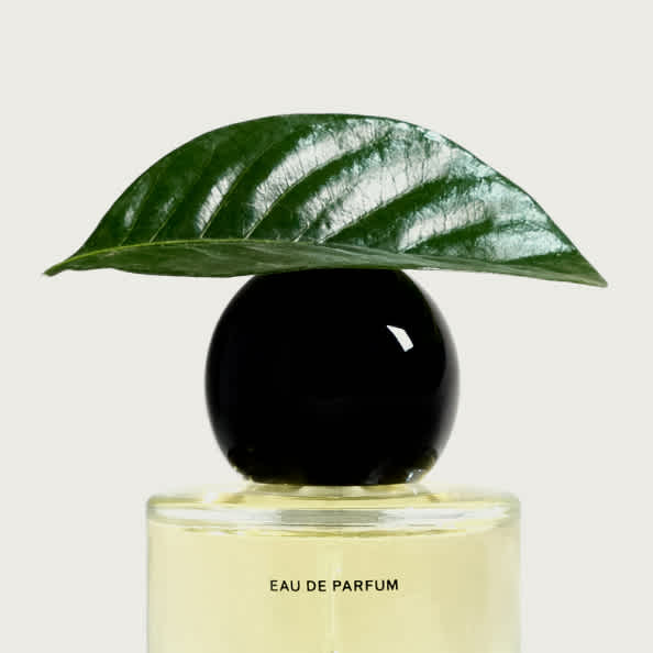 fragranceimage2
