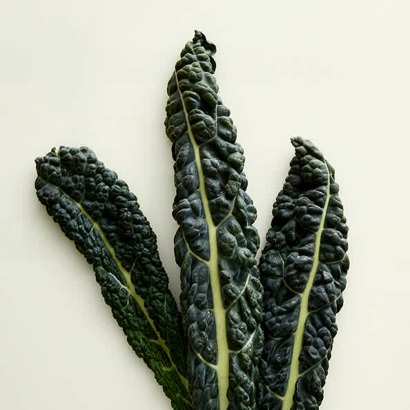 superfoods superfoods