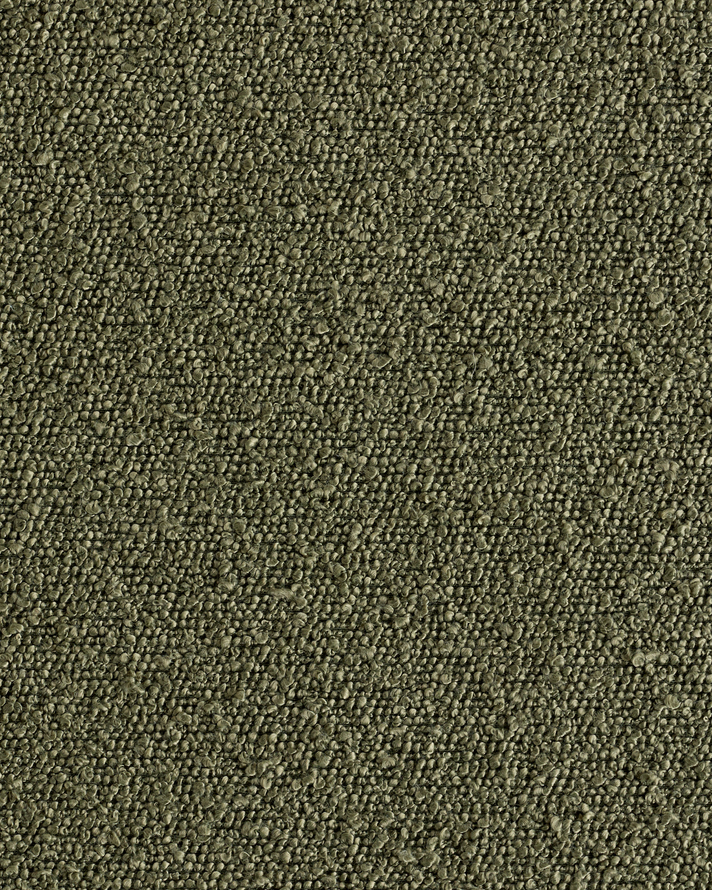 Texture - Performance Boucle - Fern