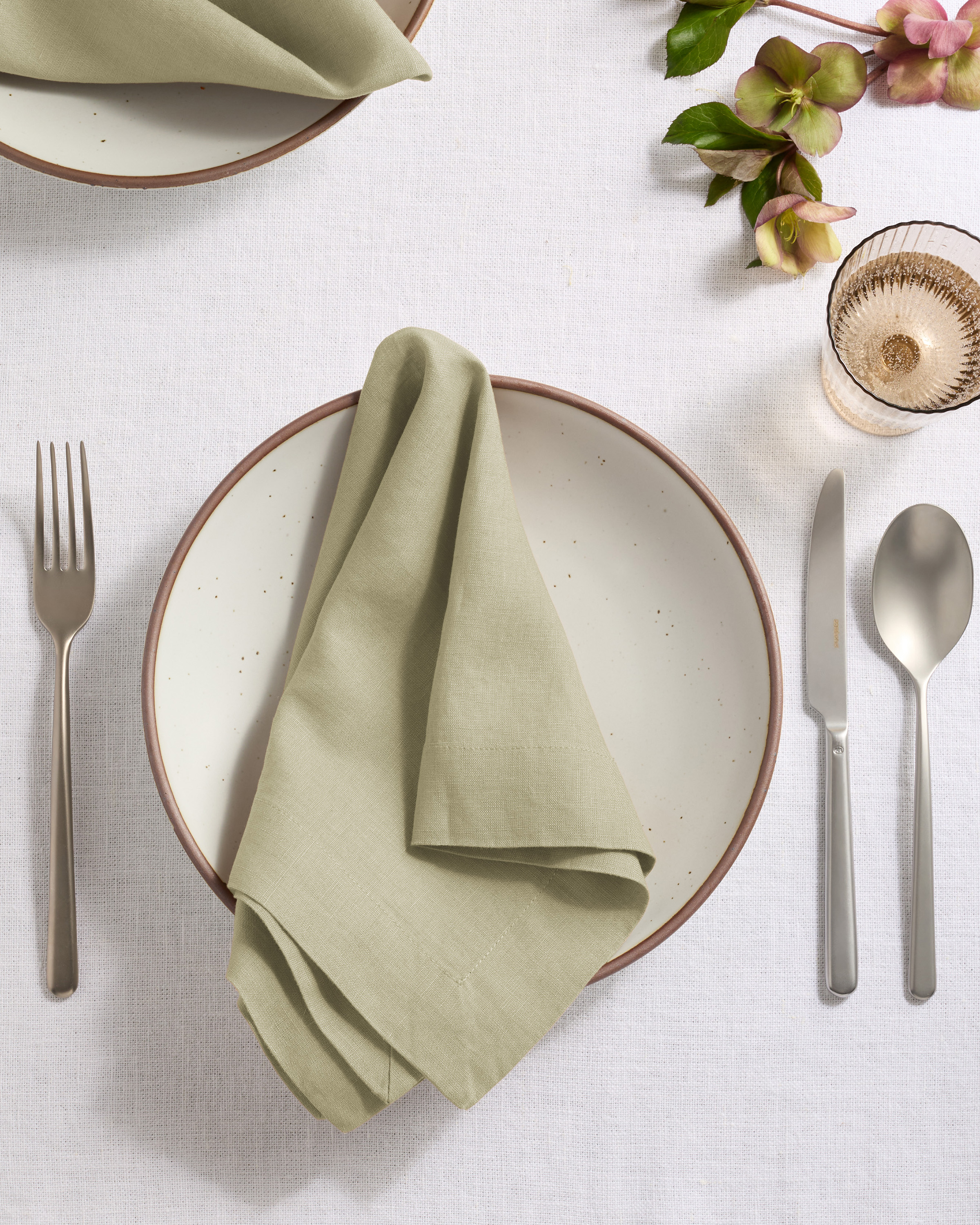 European Linen Wide-Hem Napkins (Set of 12)