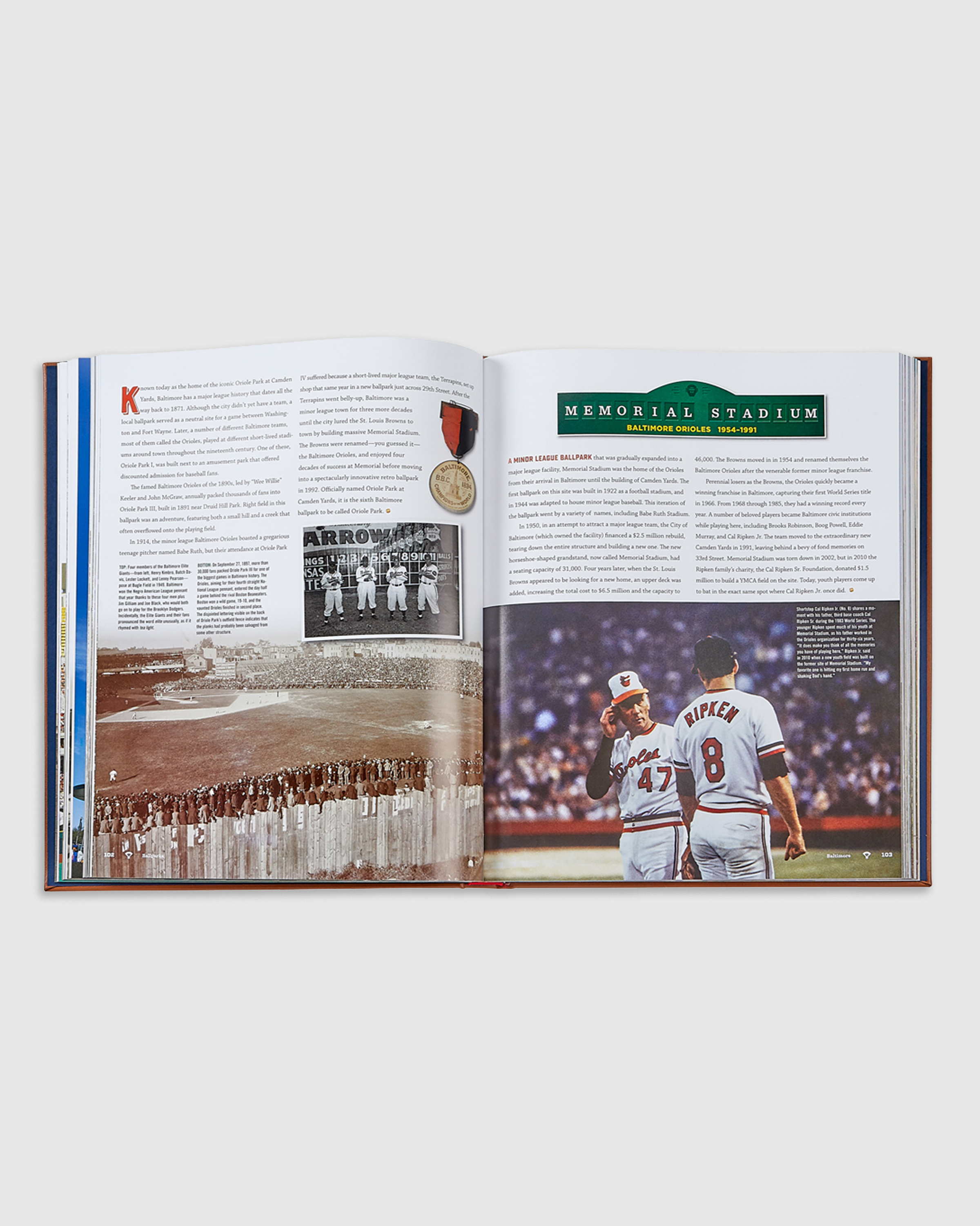Ballparks Past and Present Leather Bound Book