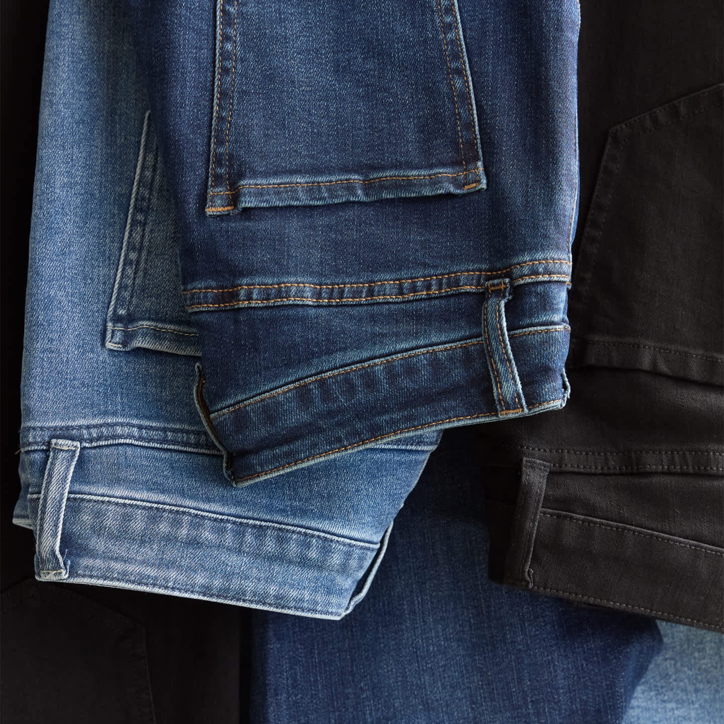 Alpaca longform image