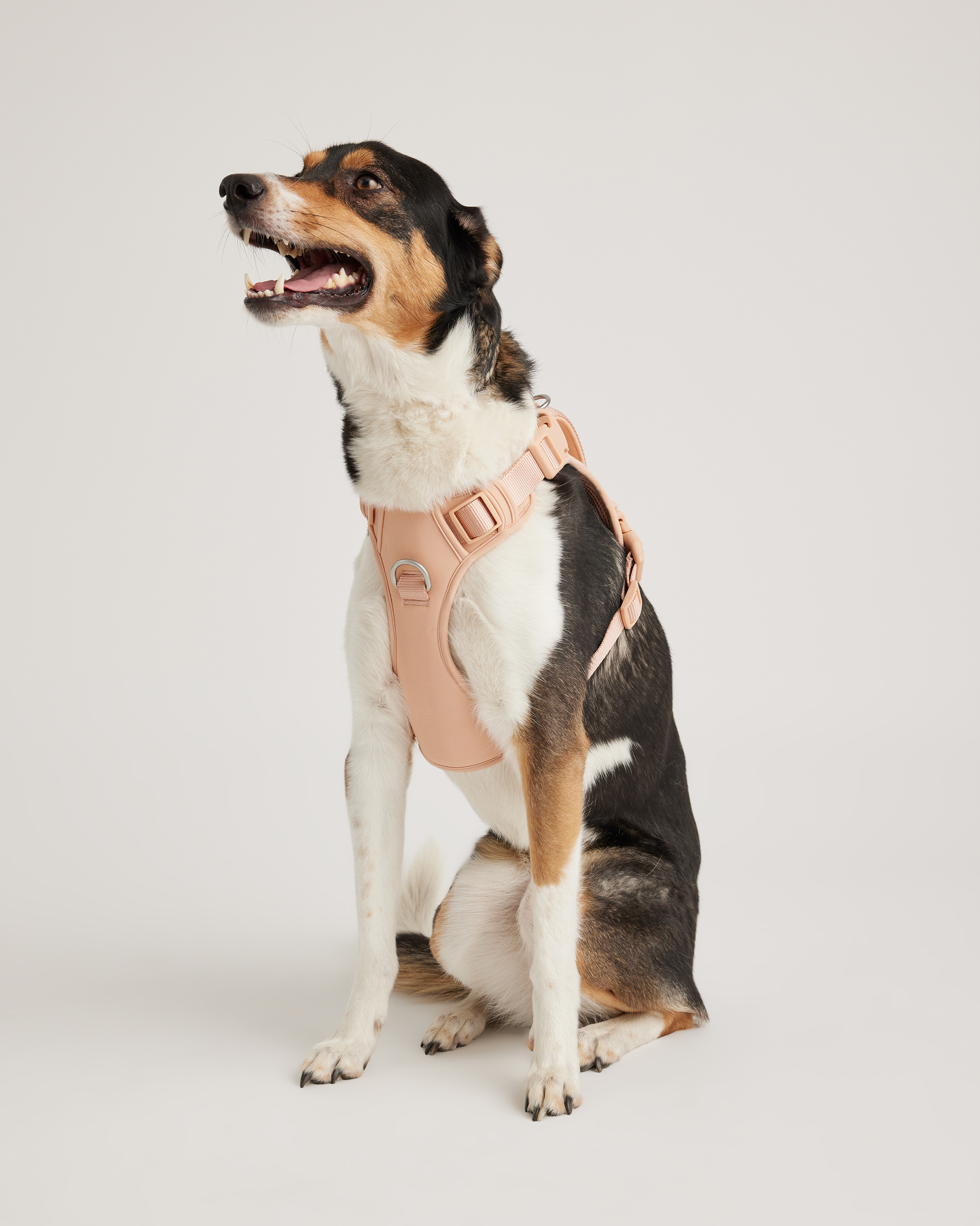 Soft Blush Neoprene Double Panel Dog Harness
