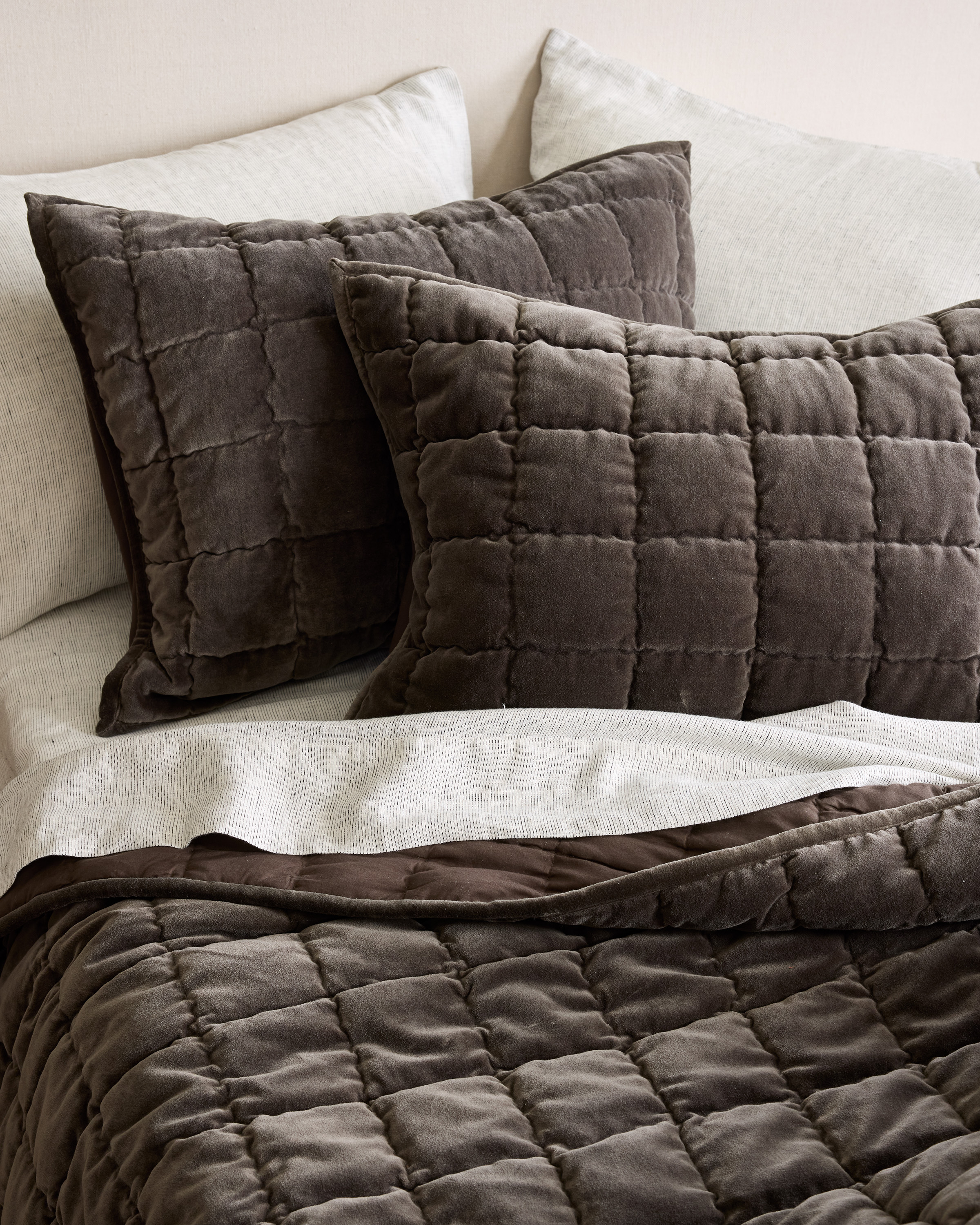 Greystone Cotton Velvet Box Quilted Sham Set