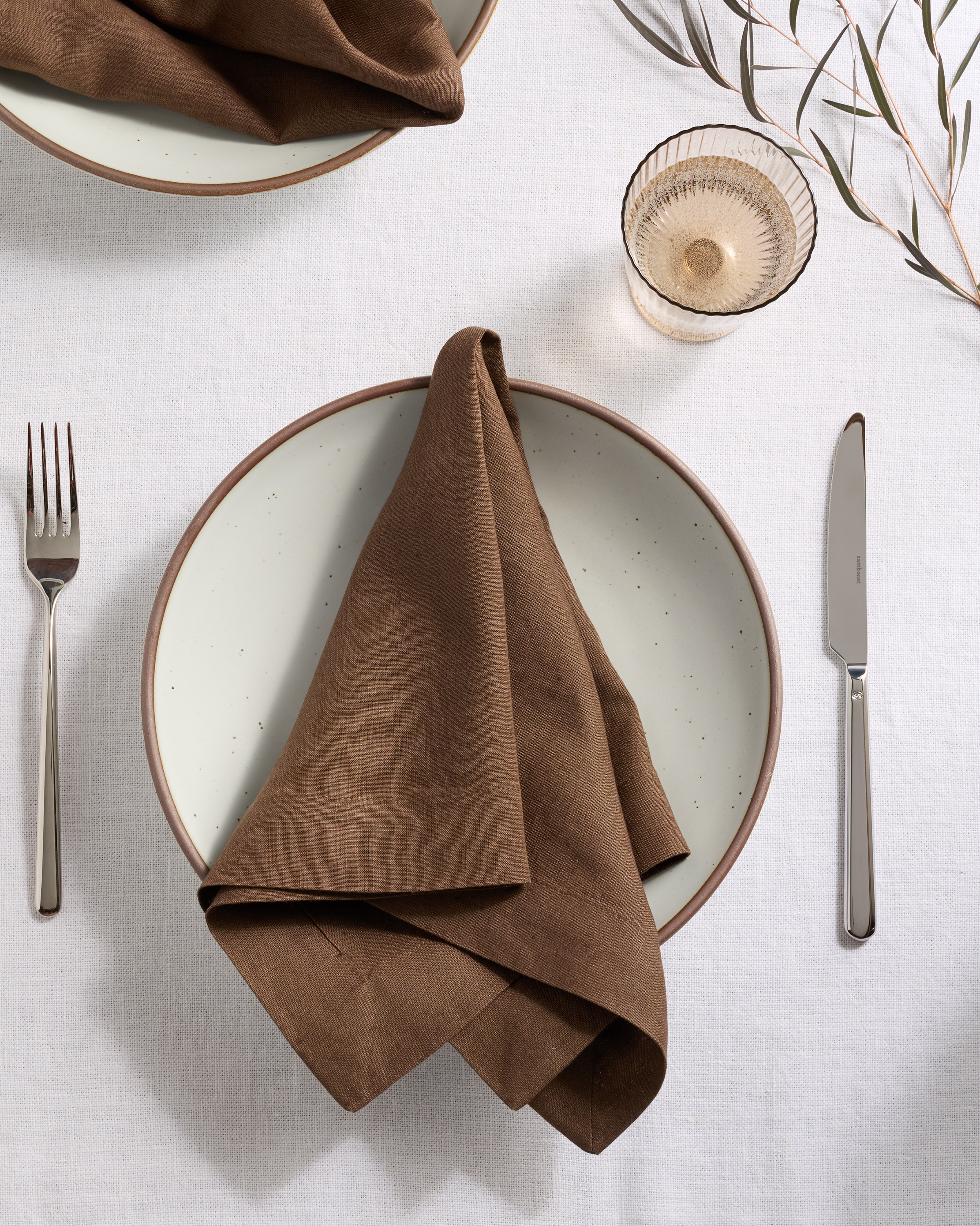 European Linen Wide-Hem Napkins (Set of 4)