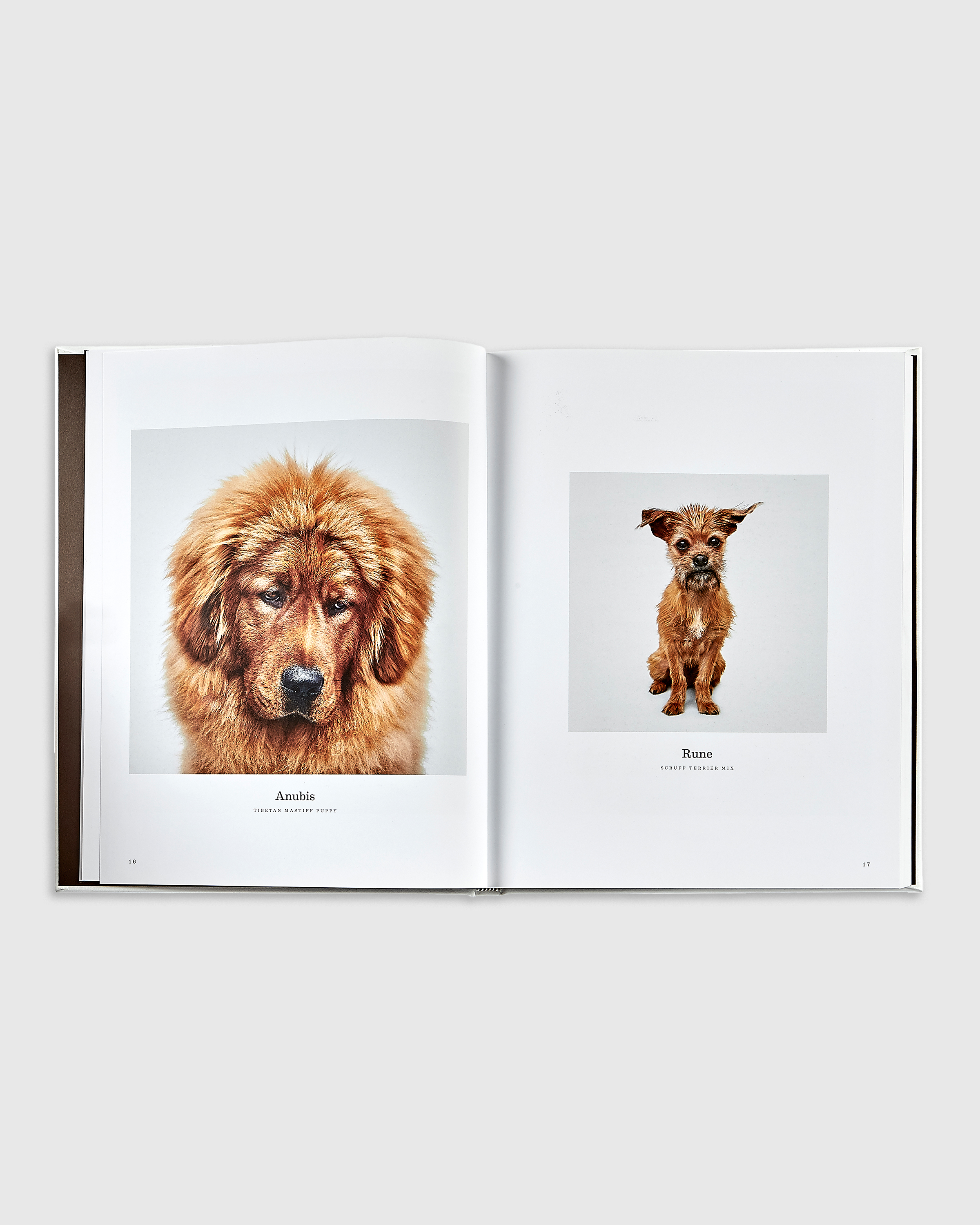 Good Dog Leather Bound Book - thumbnail 4