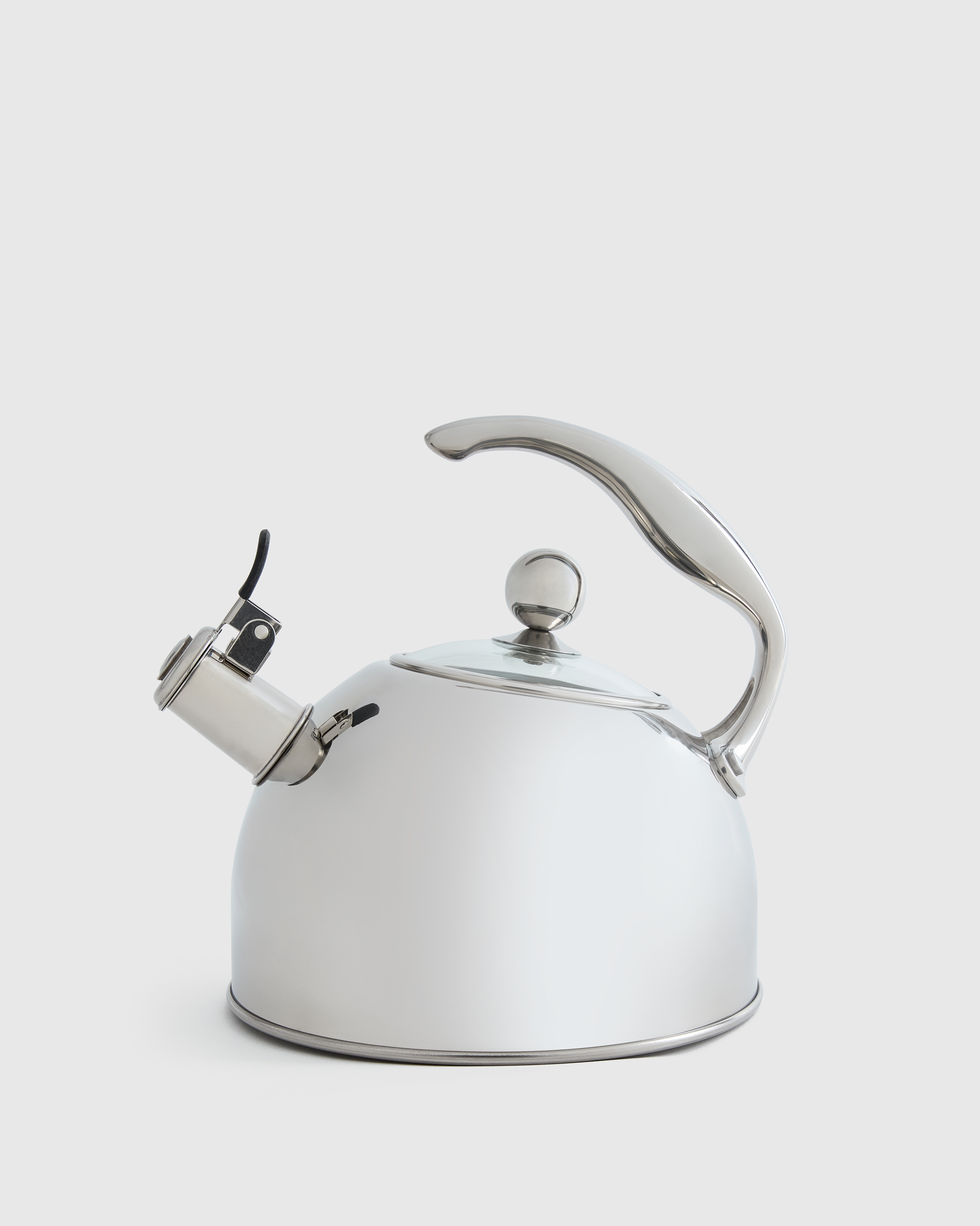 Stainless Steel Stainless Steel Tea Kettle
