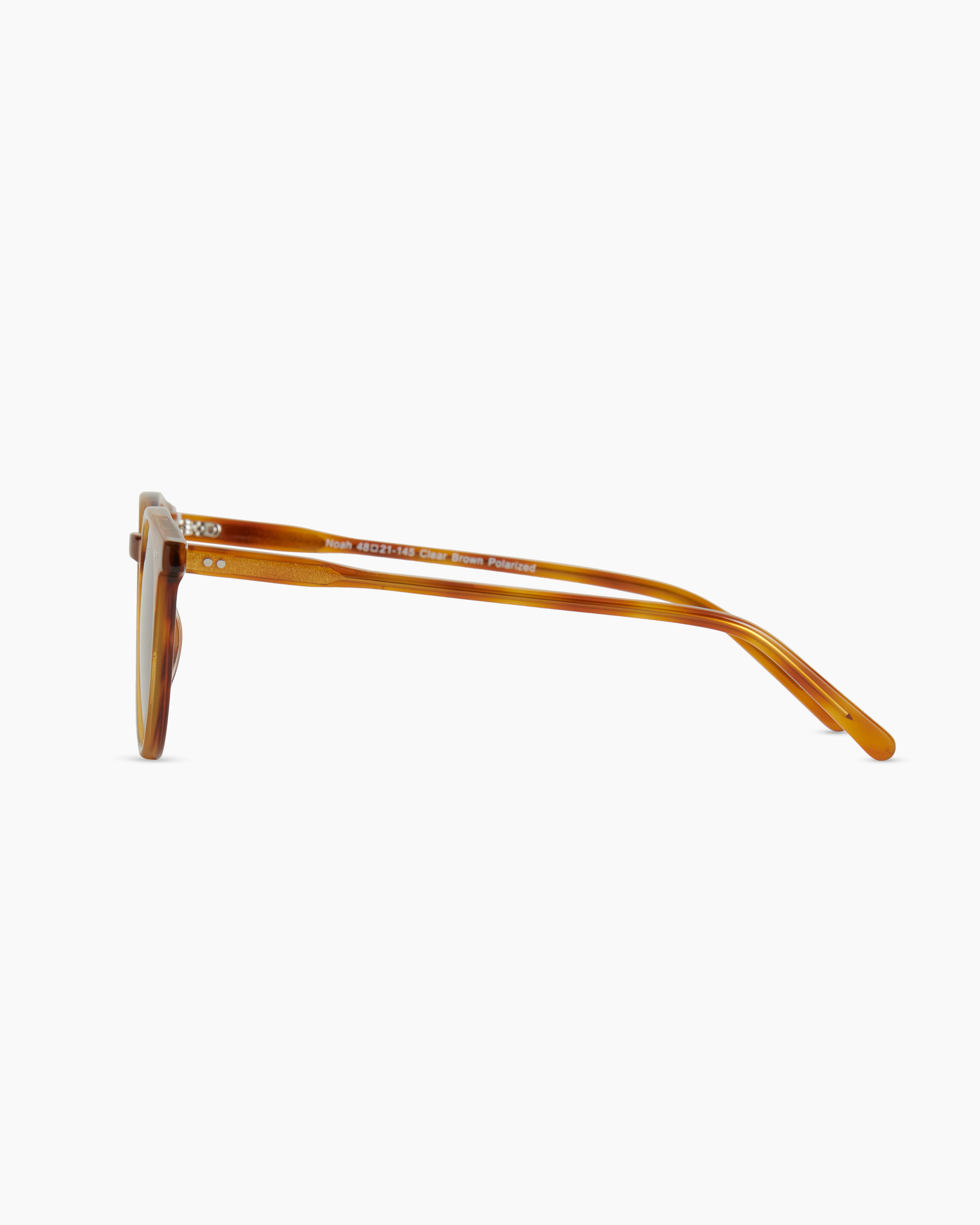 Noah Polarized Acetate Sunglasses in Clear Brown with Brown lens