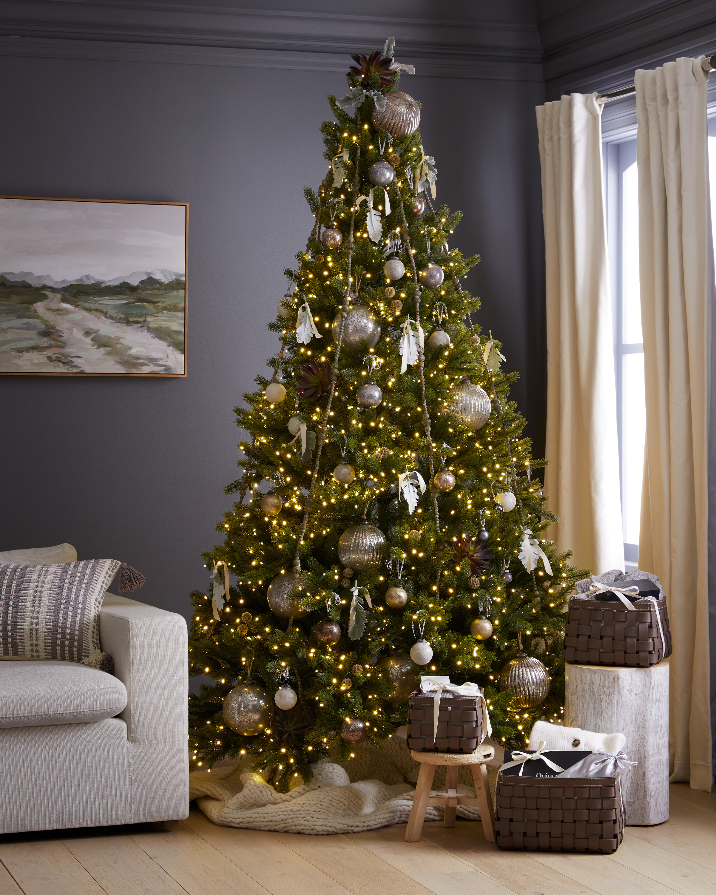 ChristmasTree WhiteSpruce 216