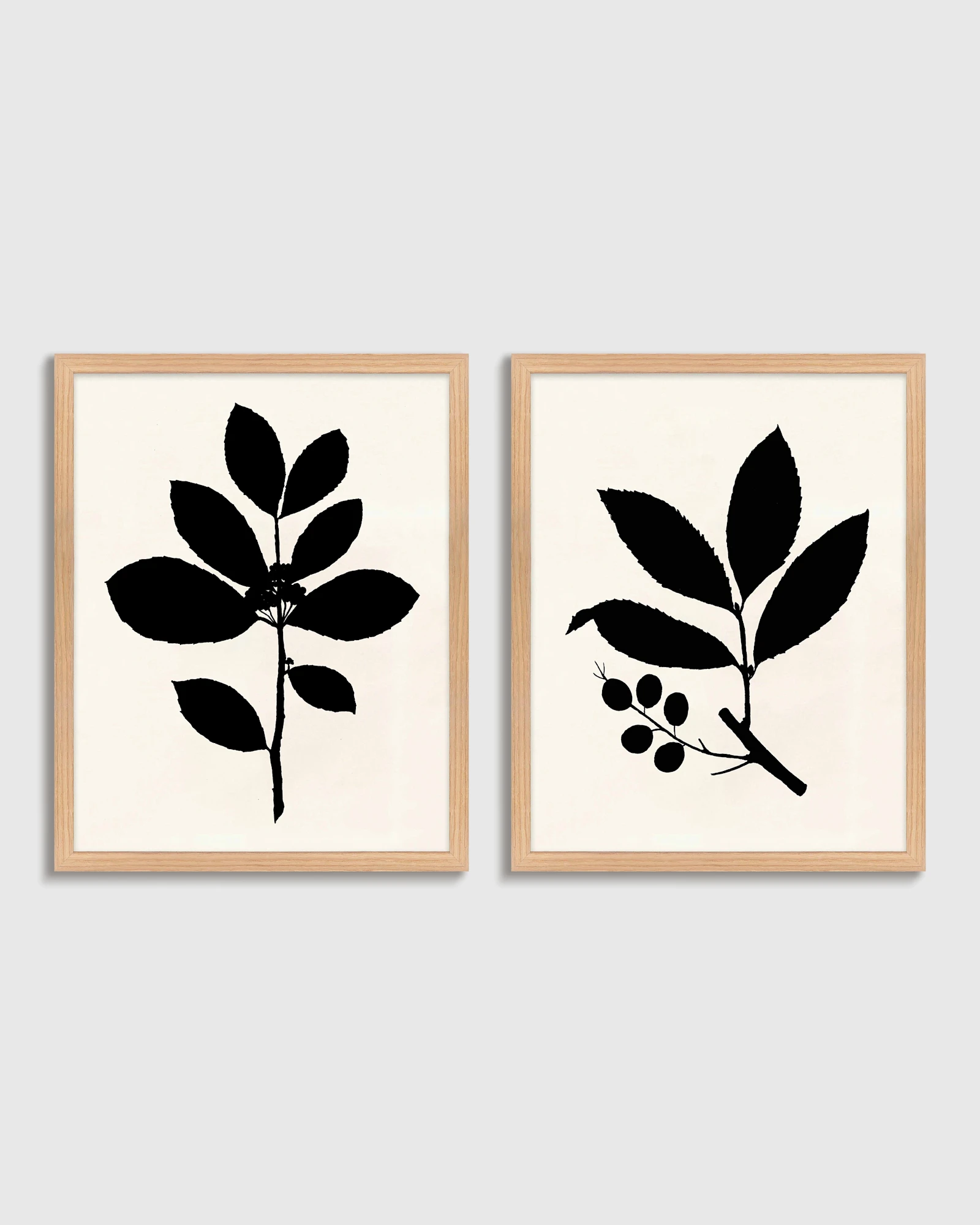 Tea Tree, Cherry Laurel by Philippa Katz (Set of 2)