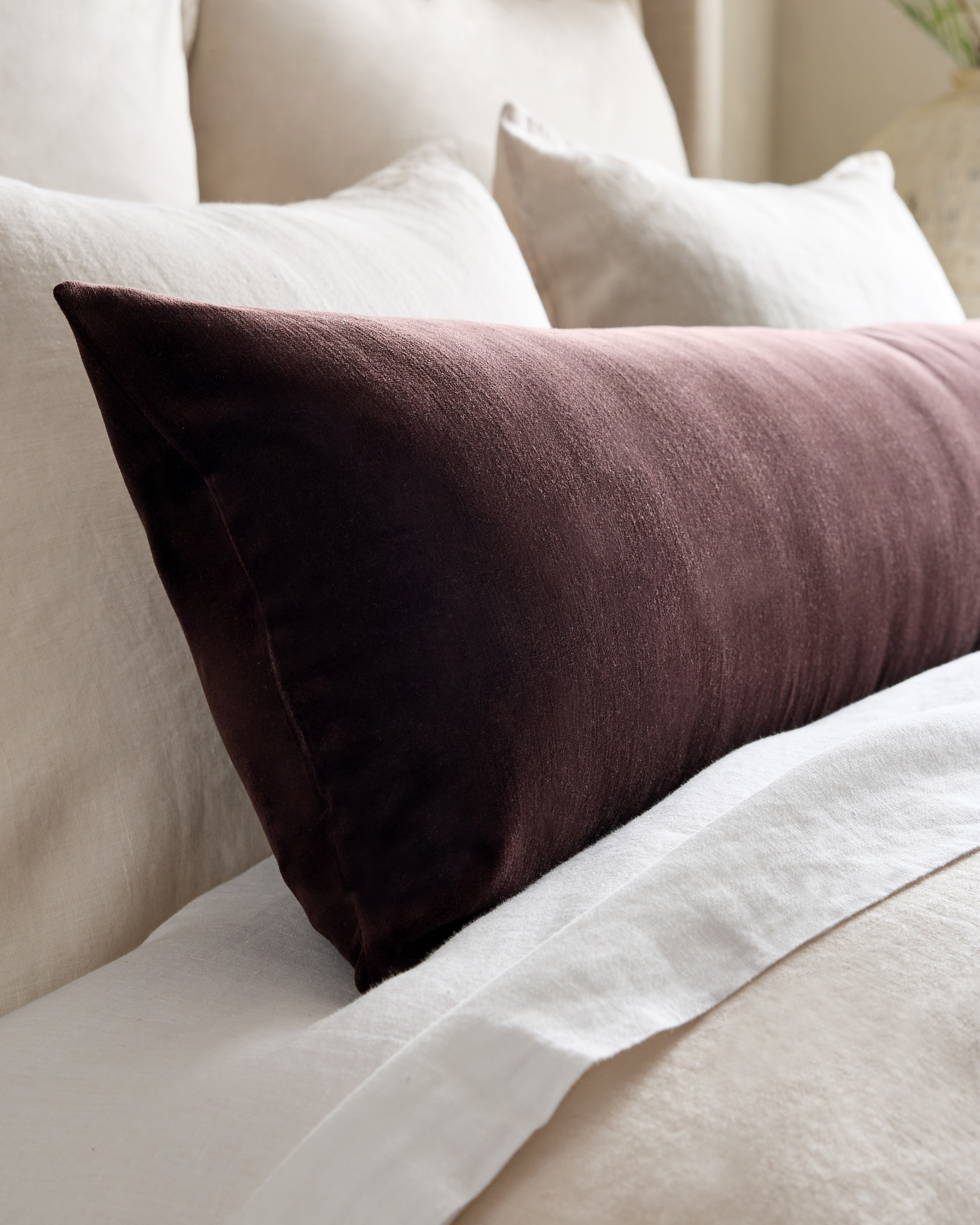 Cotton Velvet Oversized Lumbar Pillow Cover - Espresso