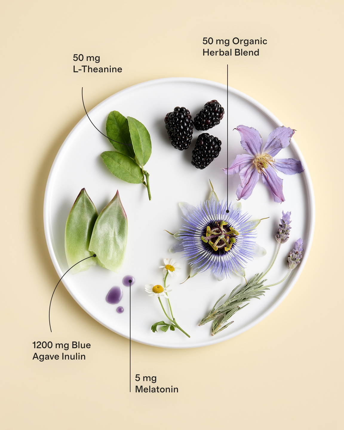 Plant-Based Sleep Gummies - thumbnail 4