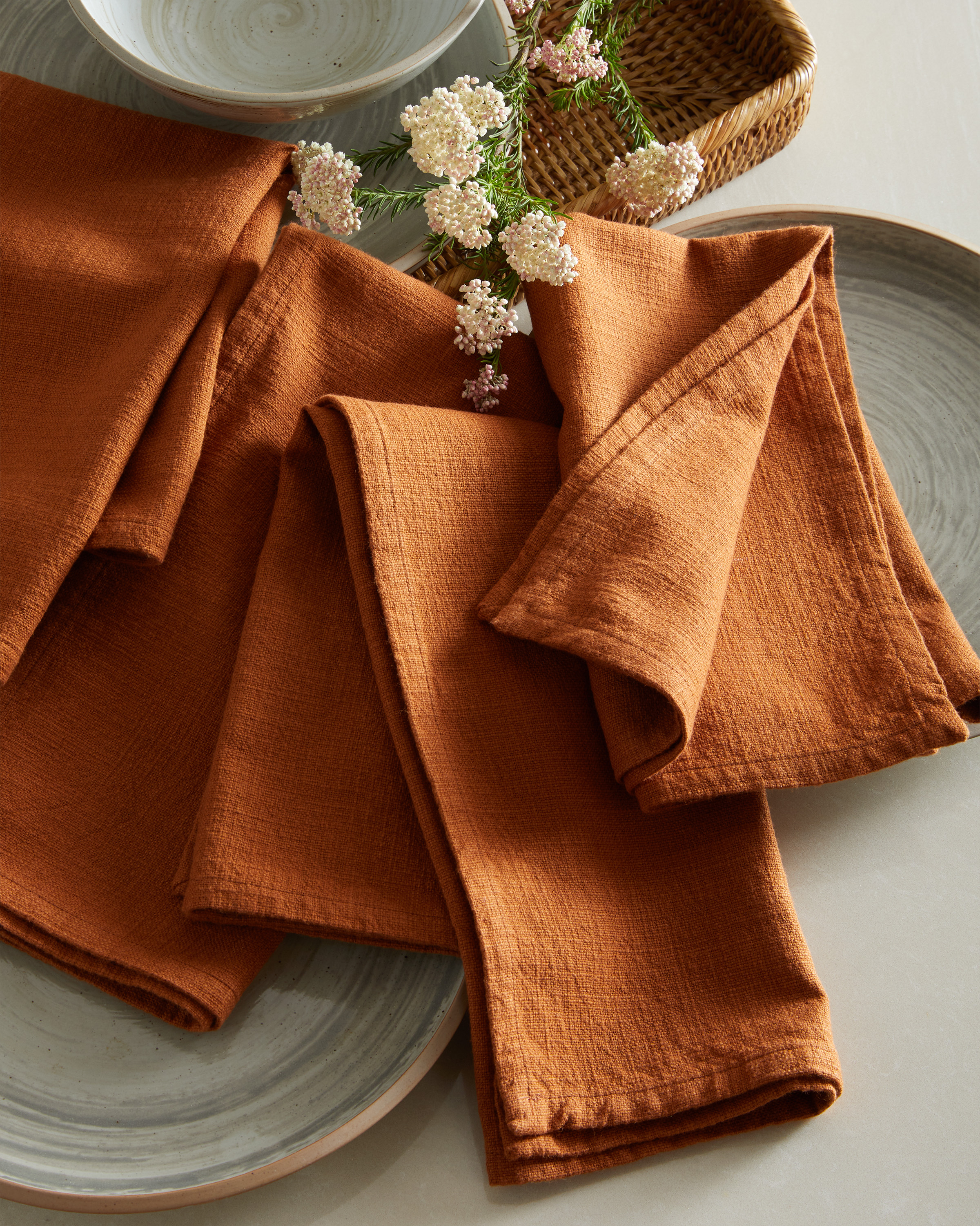 Napkins Cotton Terracotta 3260