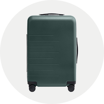 everyday steals - luggage
