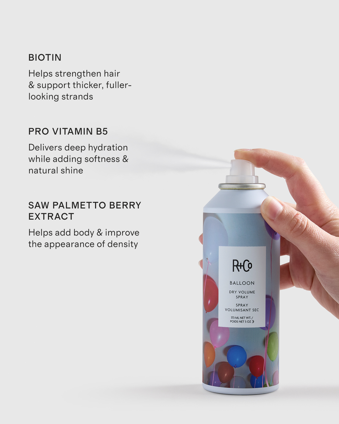 R+Co Balloon Dry Volume Spray - Thumbnail 2