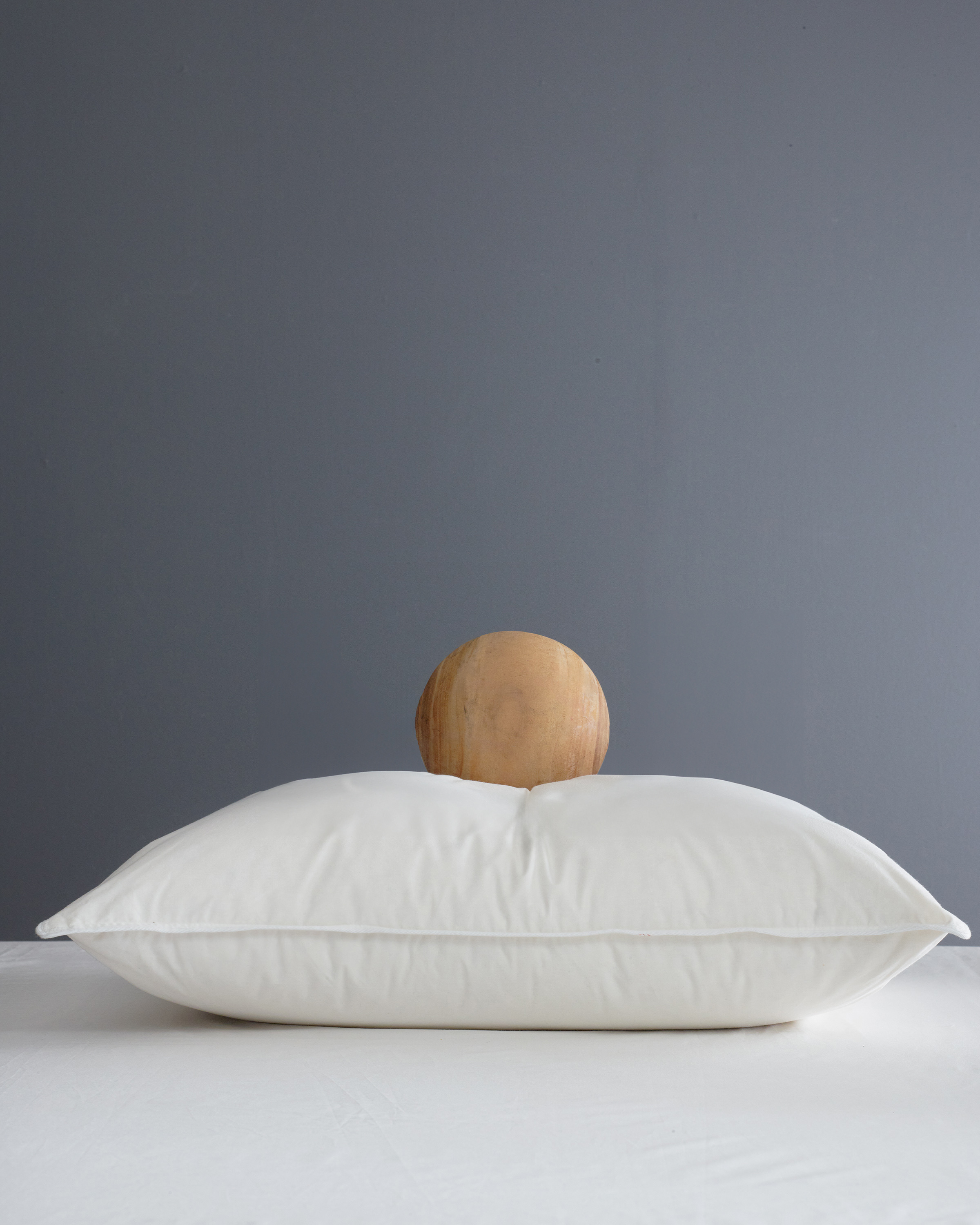Premium Down Pillow, Firm - Standard (Quince)
