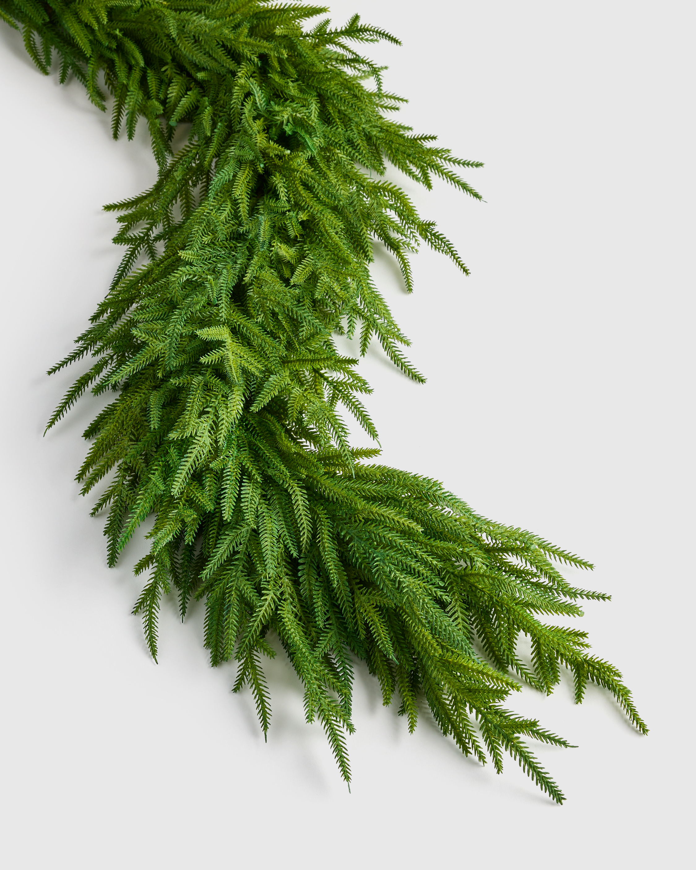 Draping Real Touch Norfolk Pine Garland - thumbnail 5