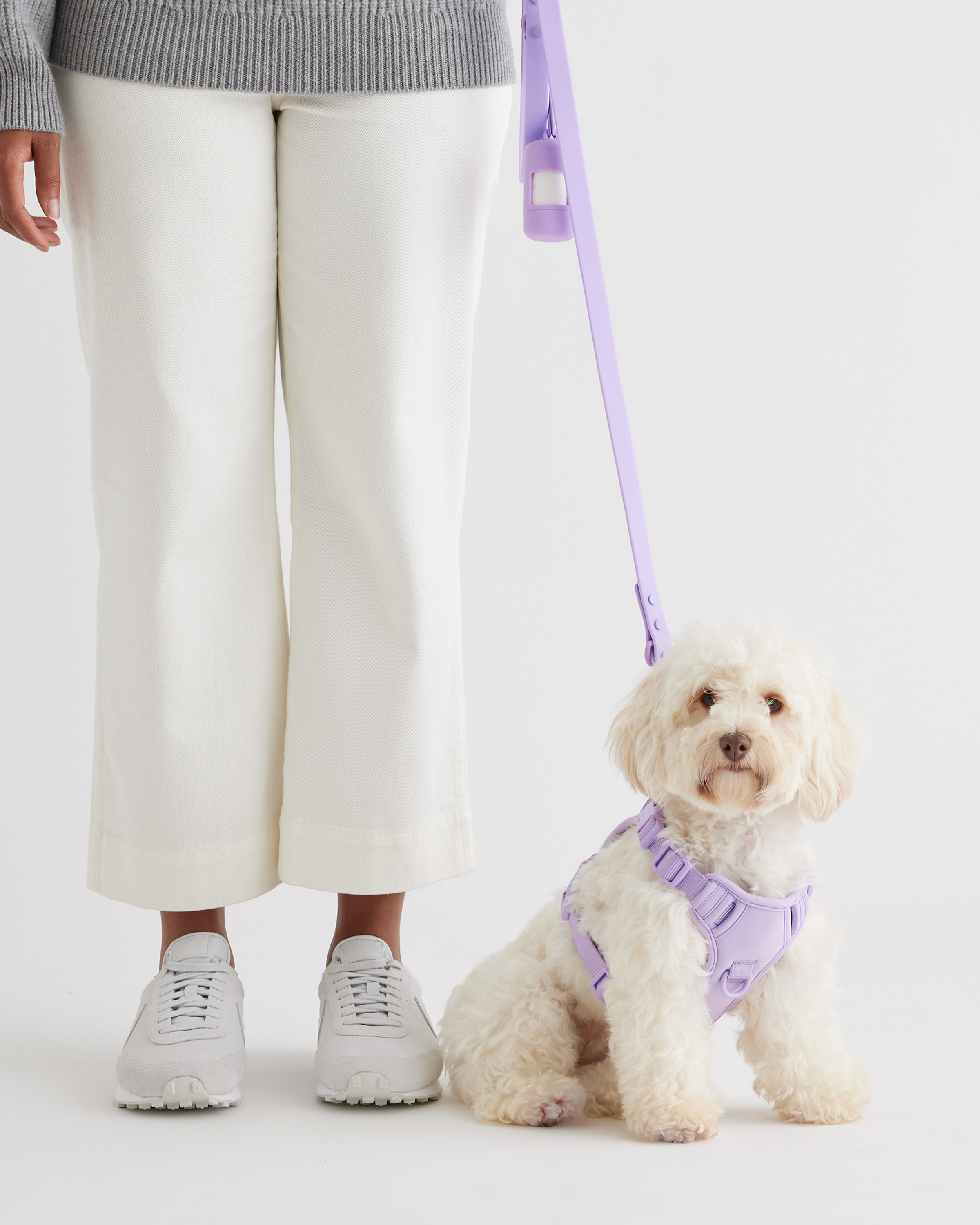 Lavender Dog Harness Walk Kit