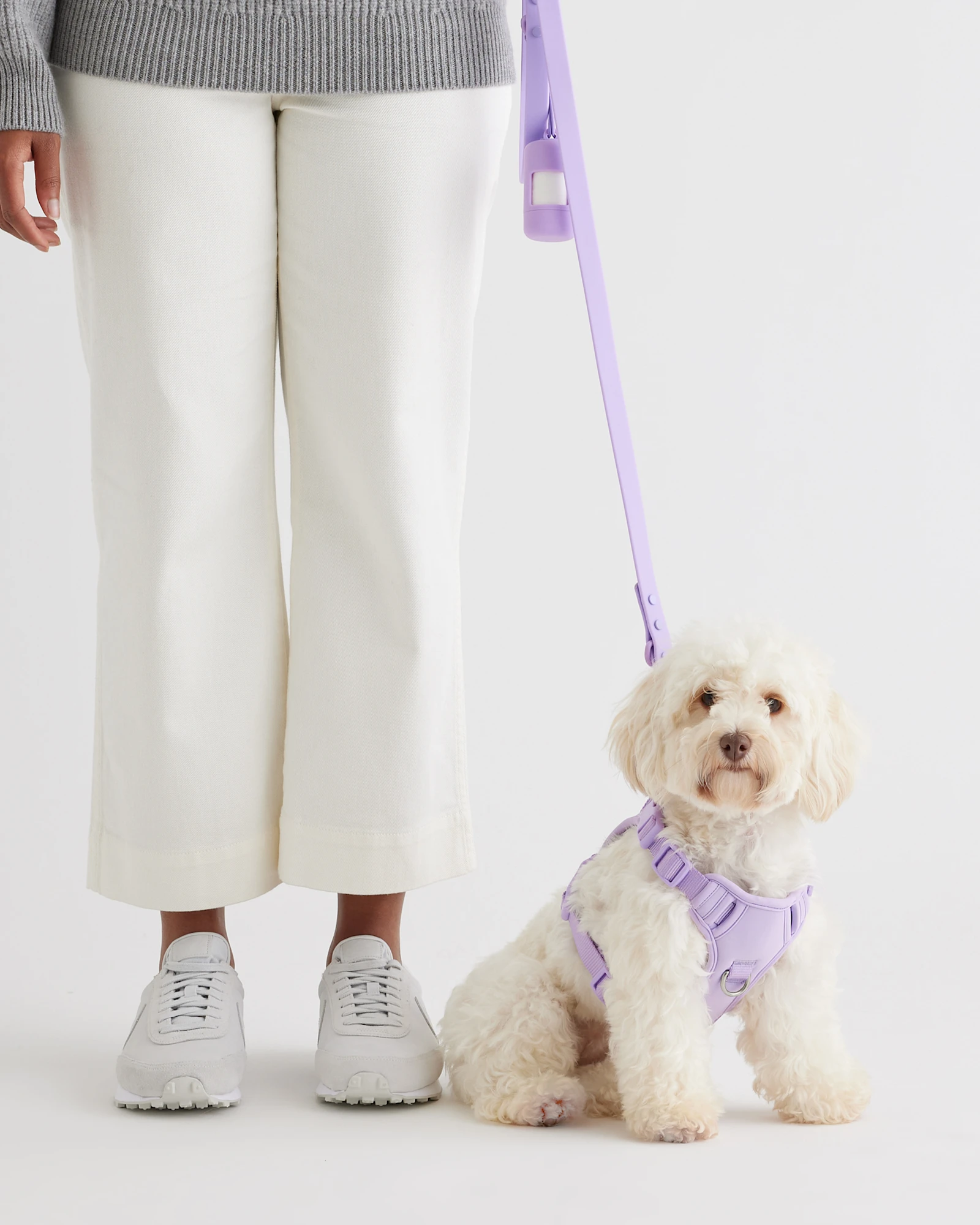 Dog Harness Walk Kit