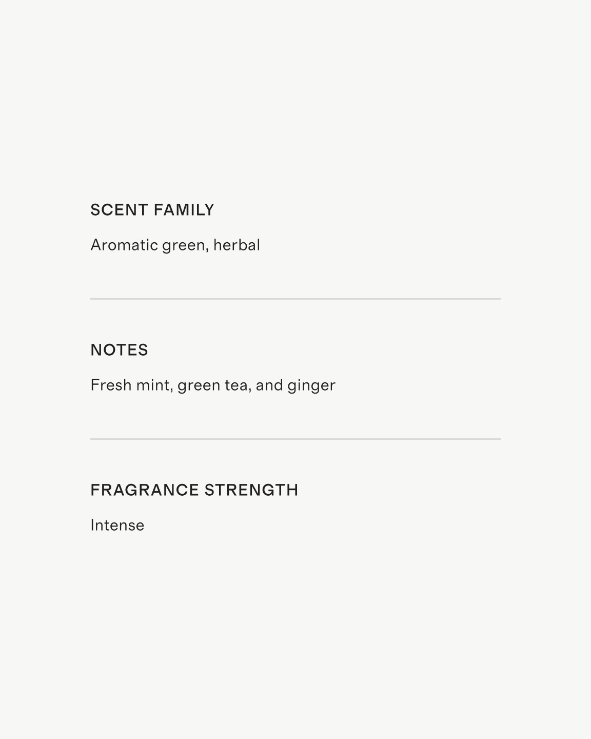 Marrakech Mint Scented Candle - thumbnail 4
