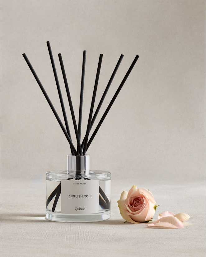 Diffusers | Quince