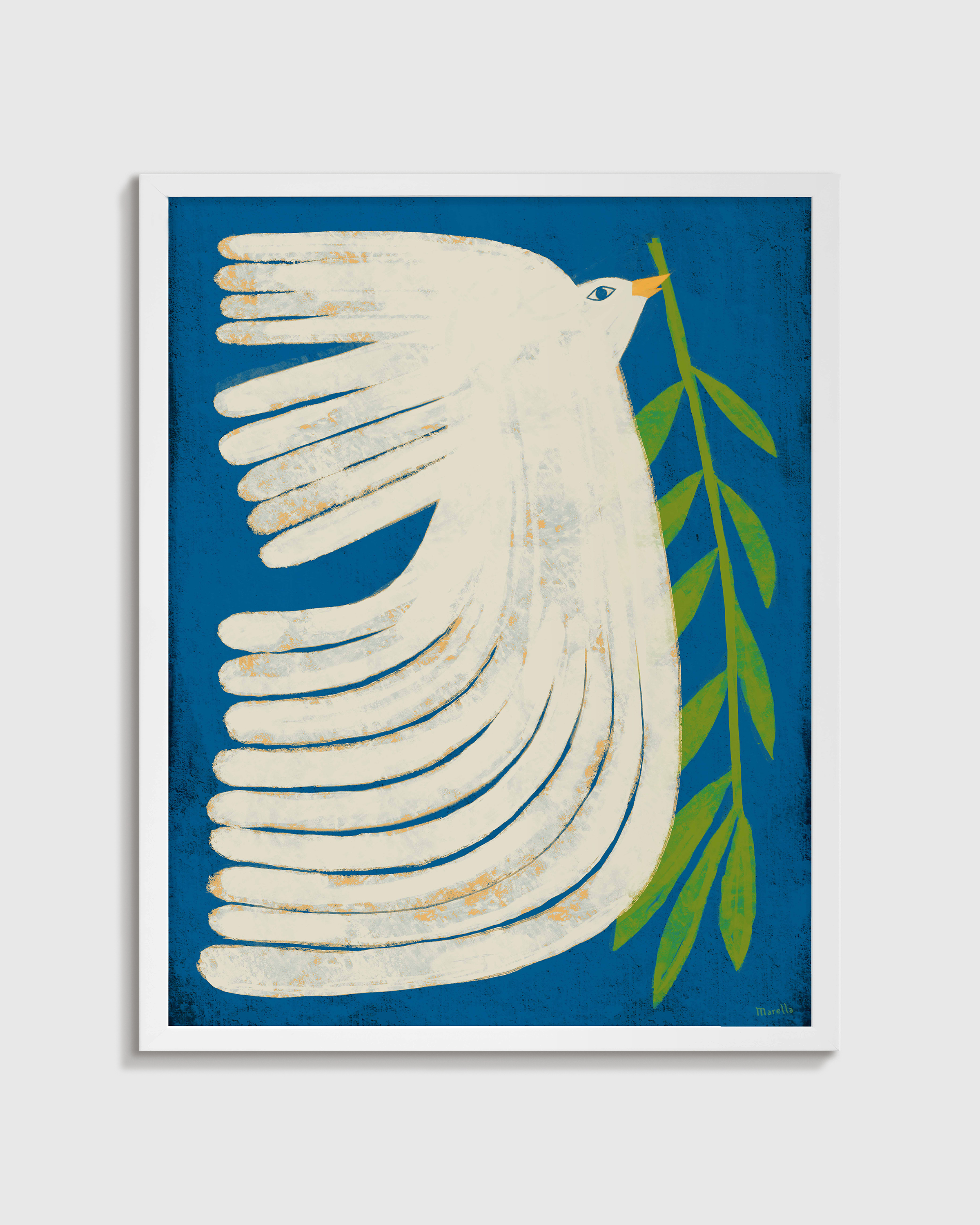 White Peace Dove by Marco Marella