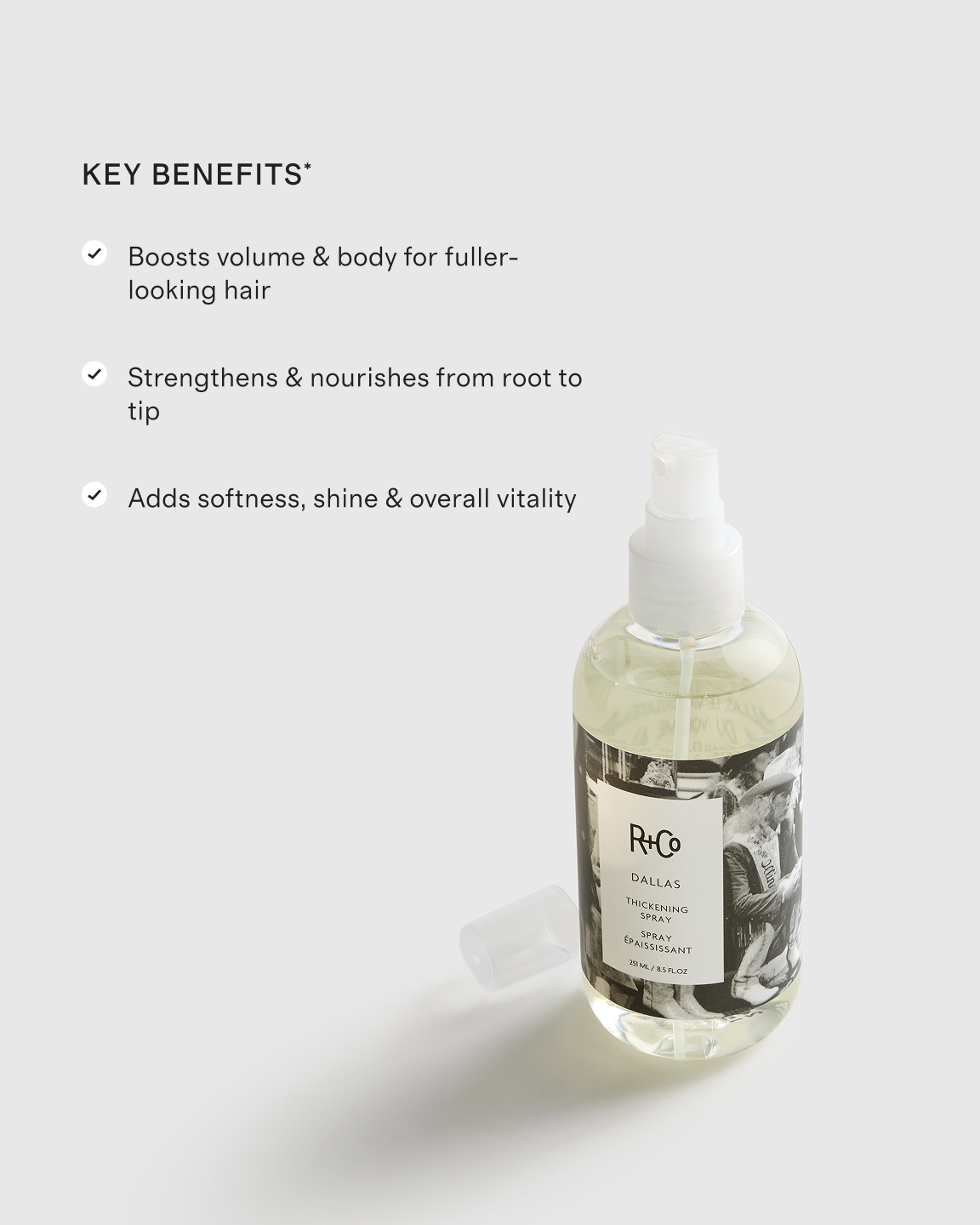R+Co Dallas Thickening Spray - Thumbnail 2