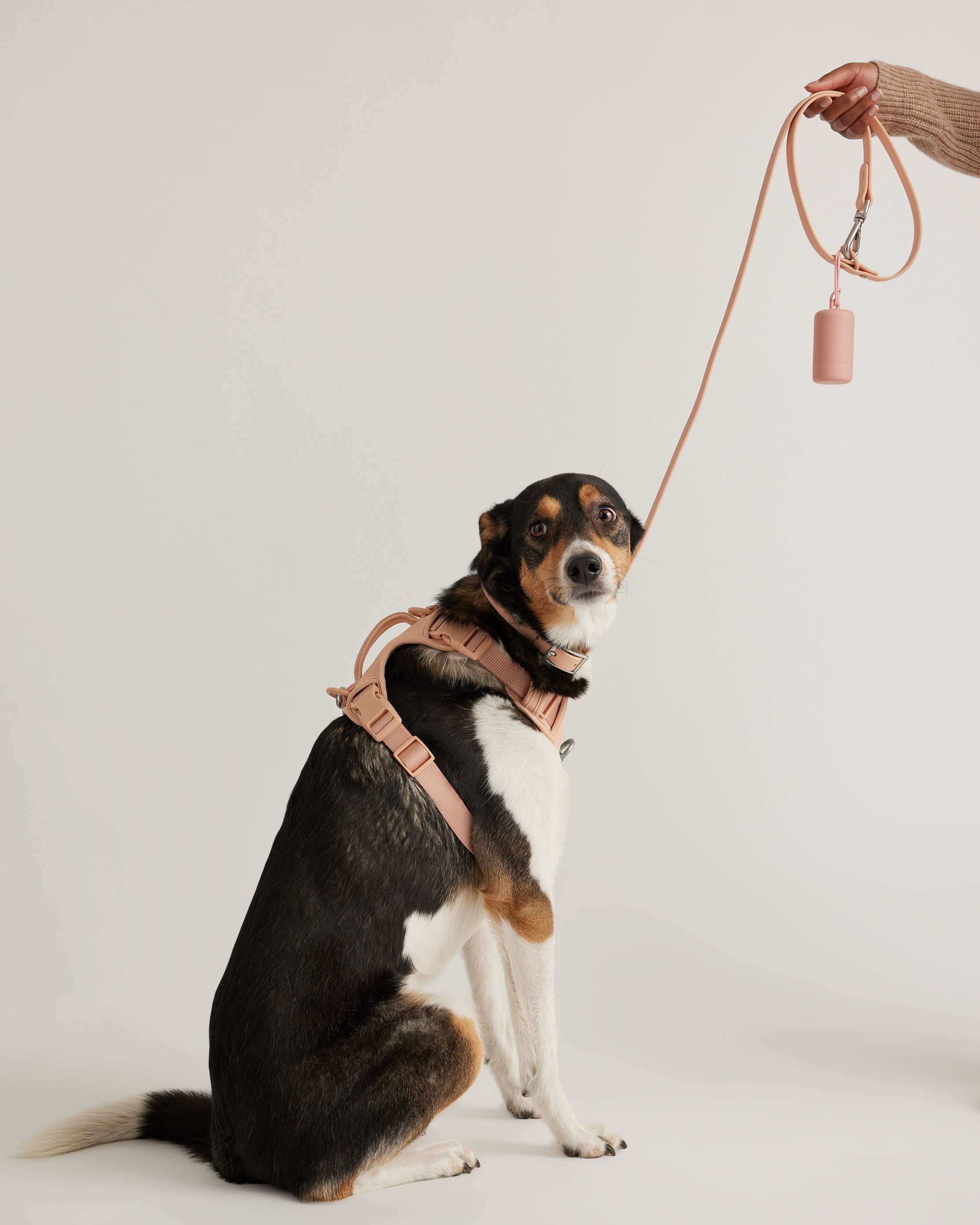 soft-blush Dog Harness Walk Kit