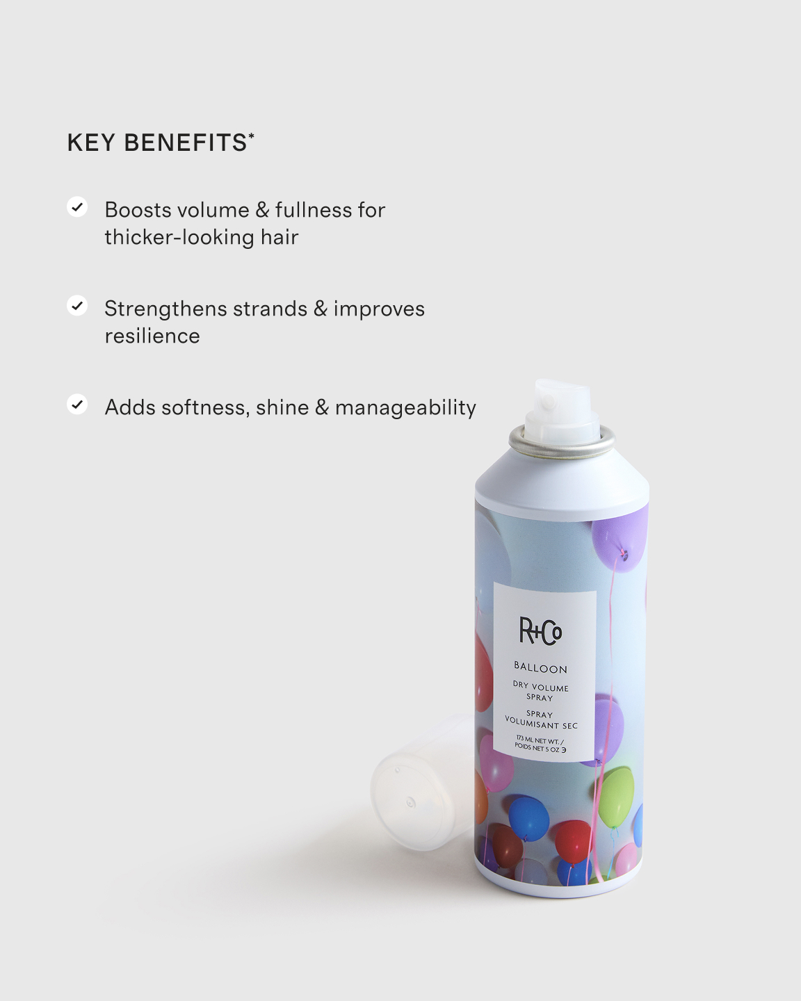 R+Co Balloon Dry Volume Spray - Thumbnail 3