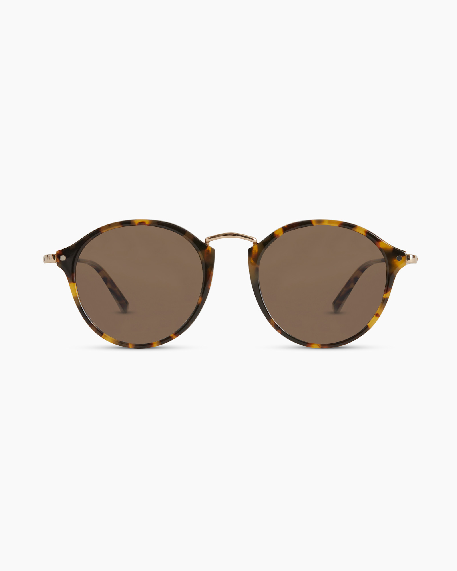 RYDER-FAWN-POLARIZED-1
