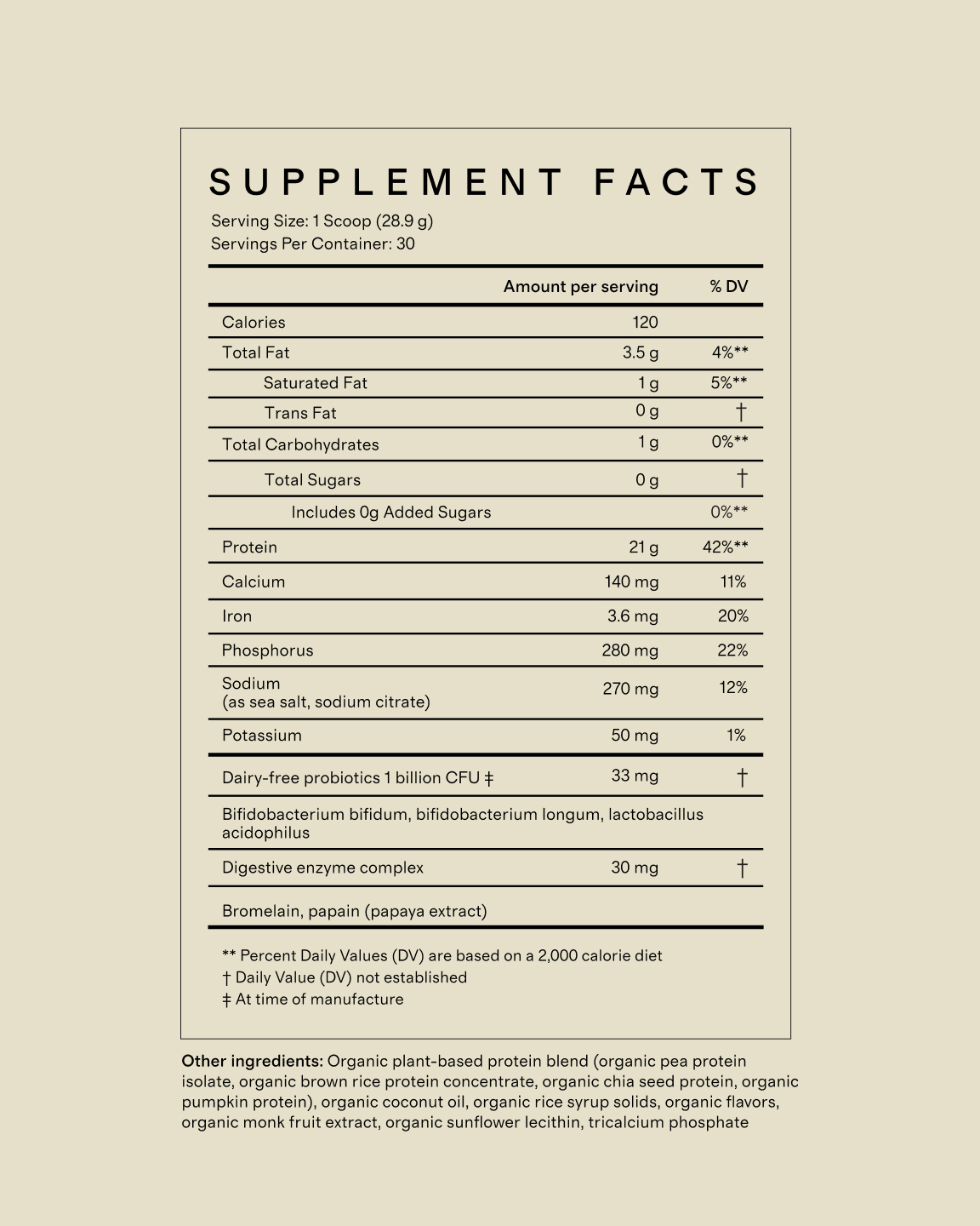 Certified Organic Plant Protein Powder - thumbnail 6