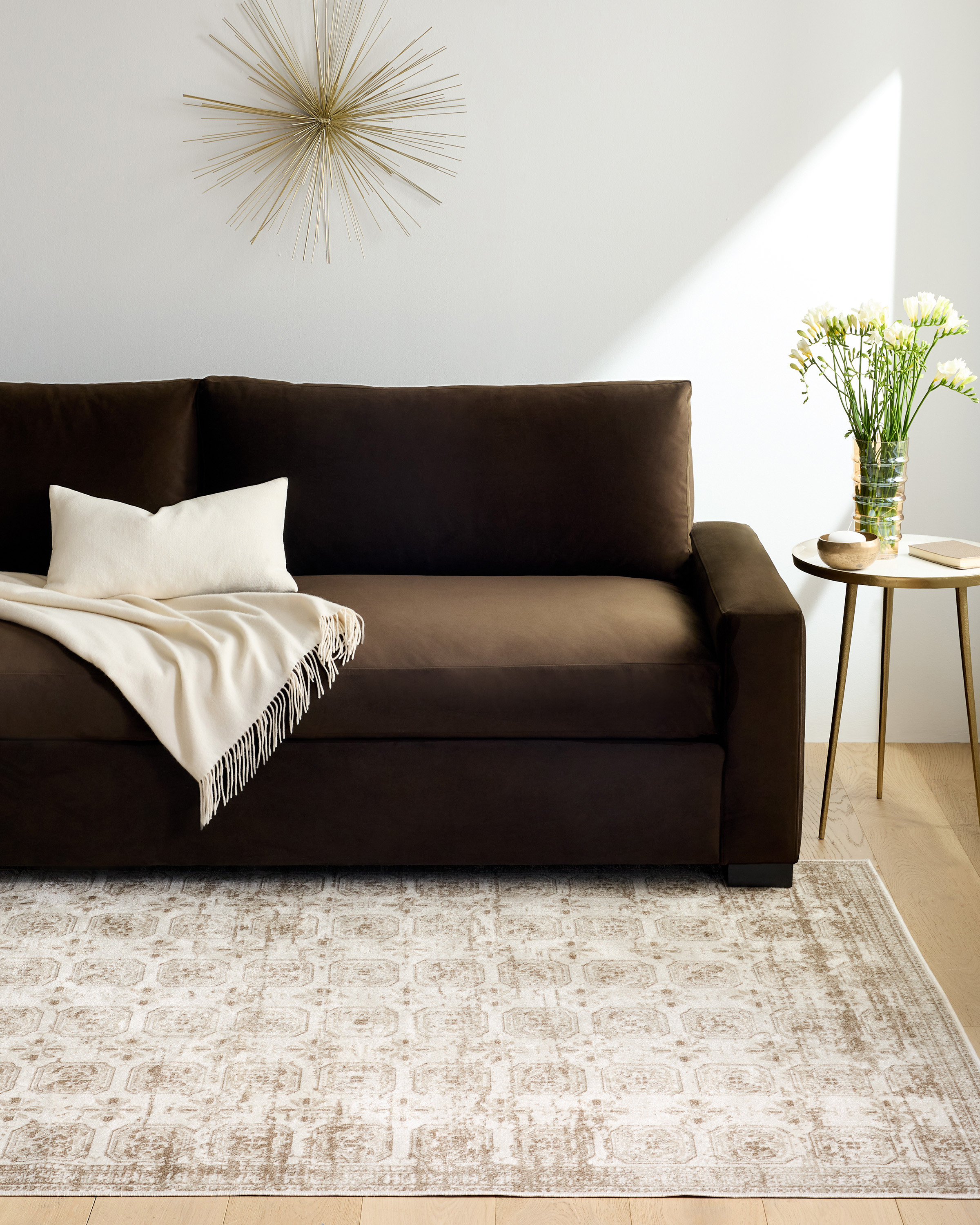 Paulette Performance Rug